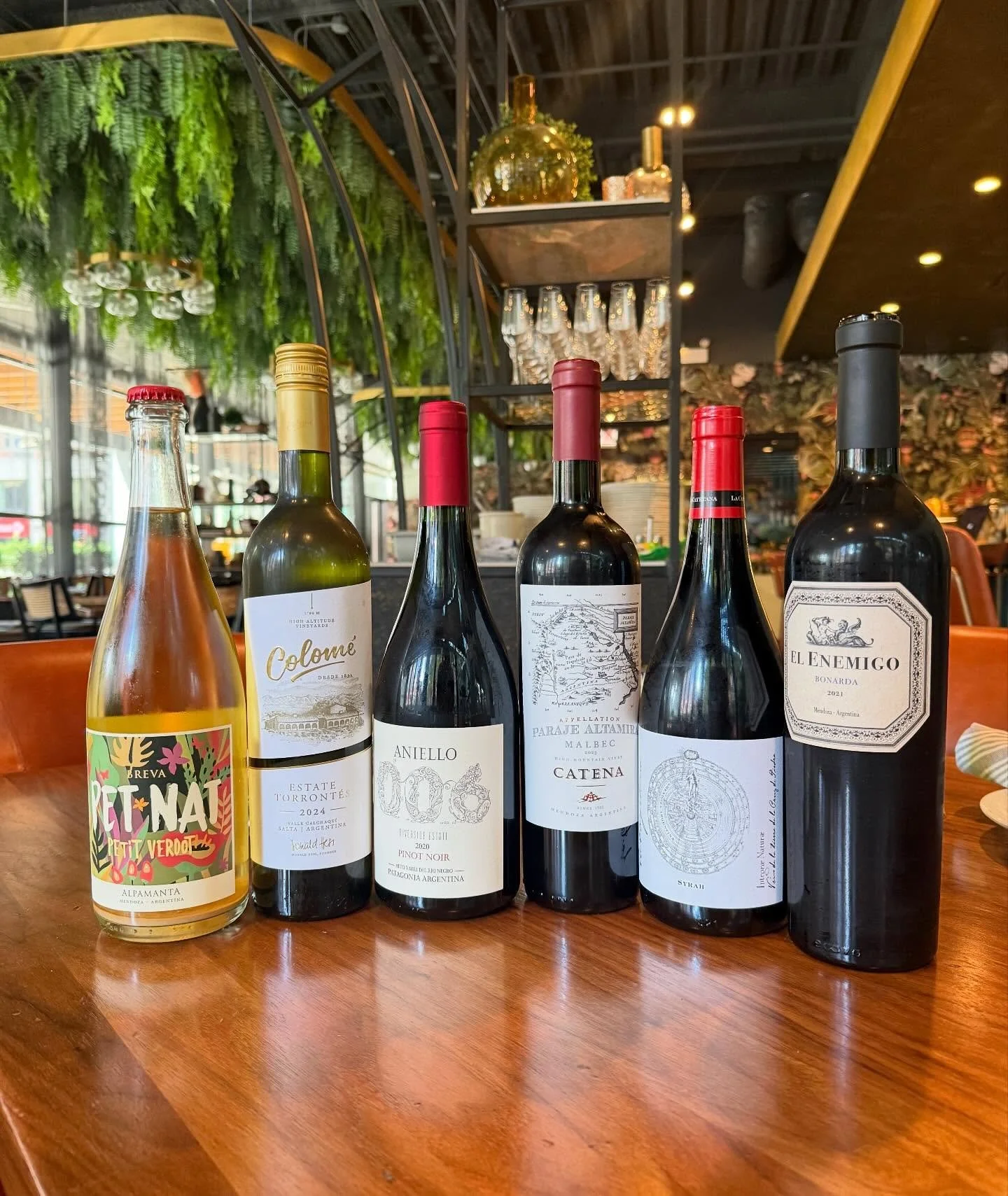 We're All in on Argentina this month.🏔️🍷 Get ready for an Andean Adventure! 🇦🇷

This month, we&rsquo;re taking our inspiration from the breathtaking heights of Argentina's wine country by featuring SIX exceptional Argentine wines by the glass tha