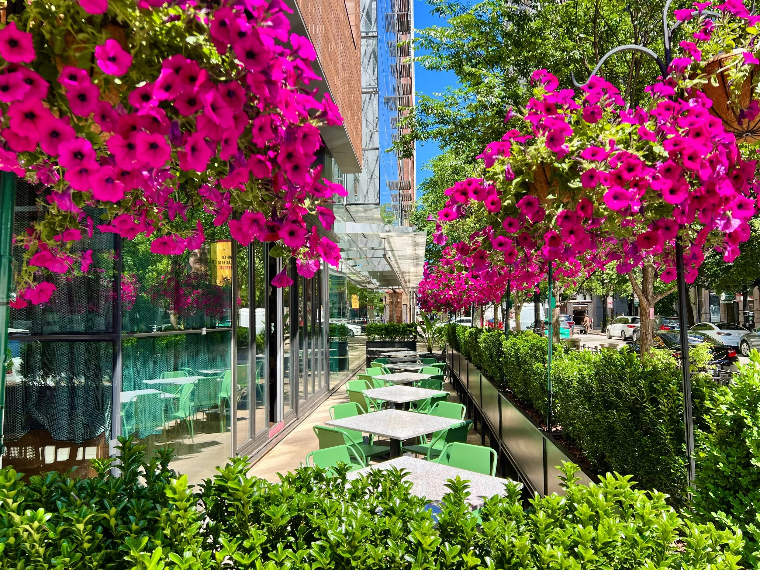 Spring is in Session