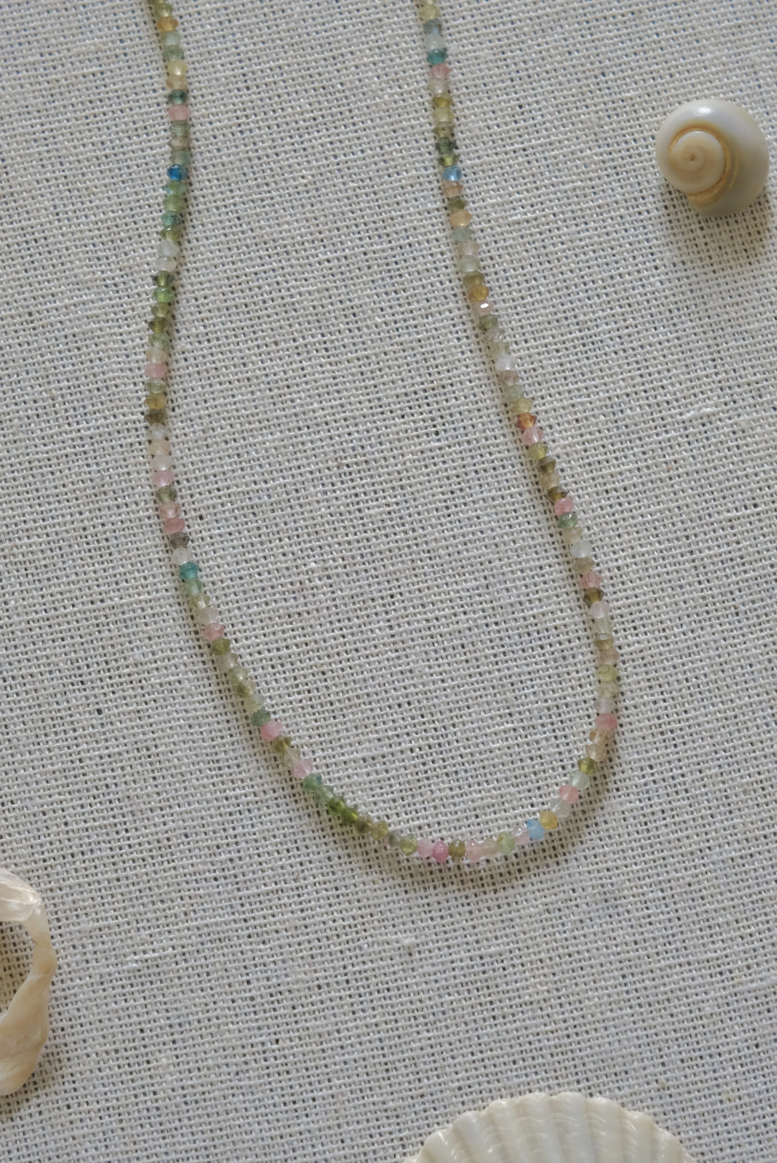 DSCF4493.JPG