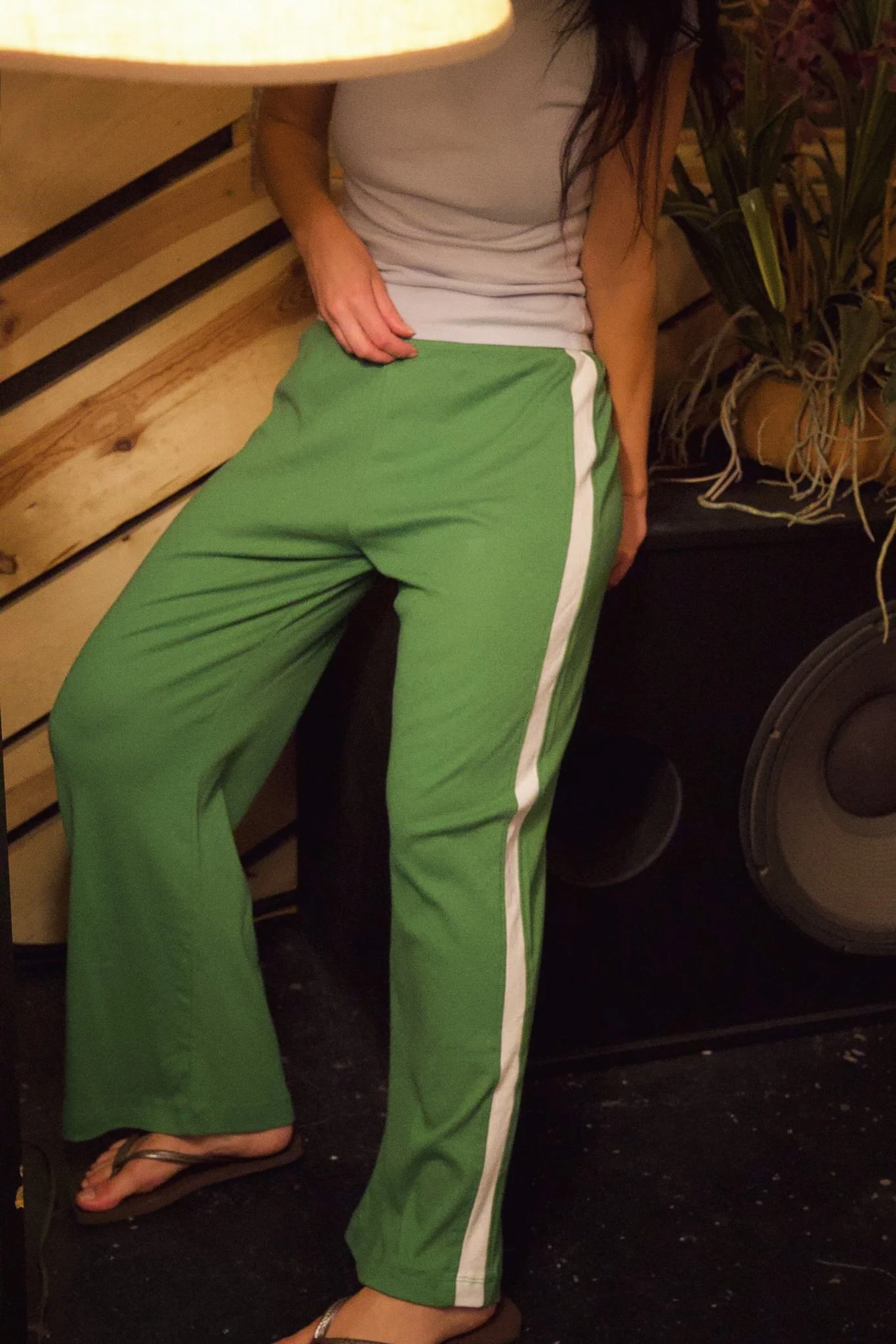 DSC03100.jpg