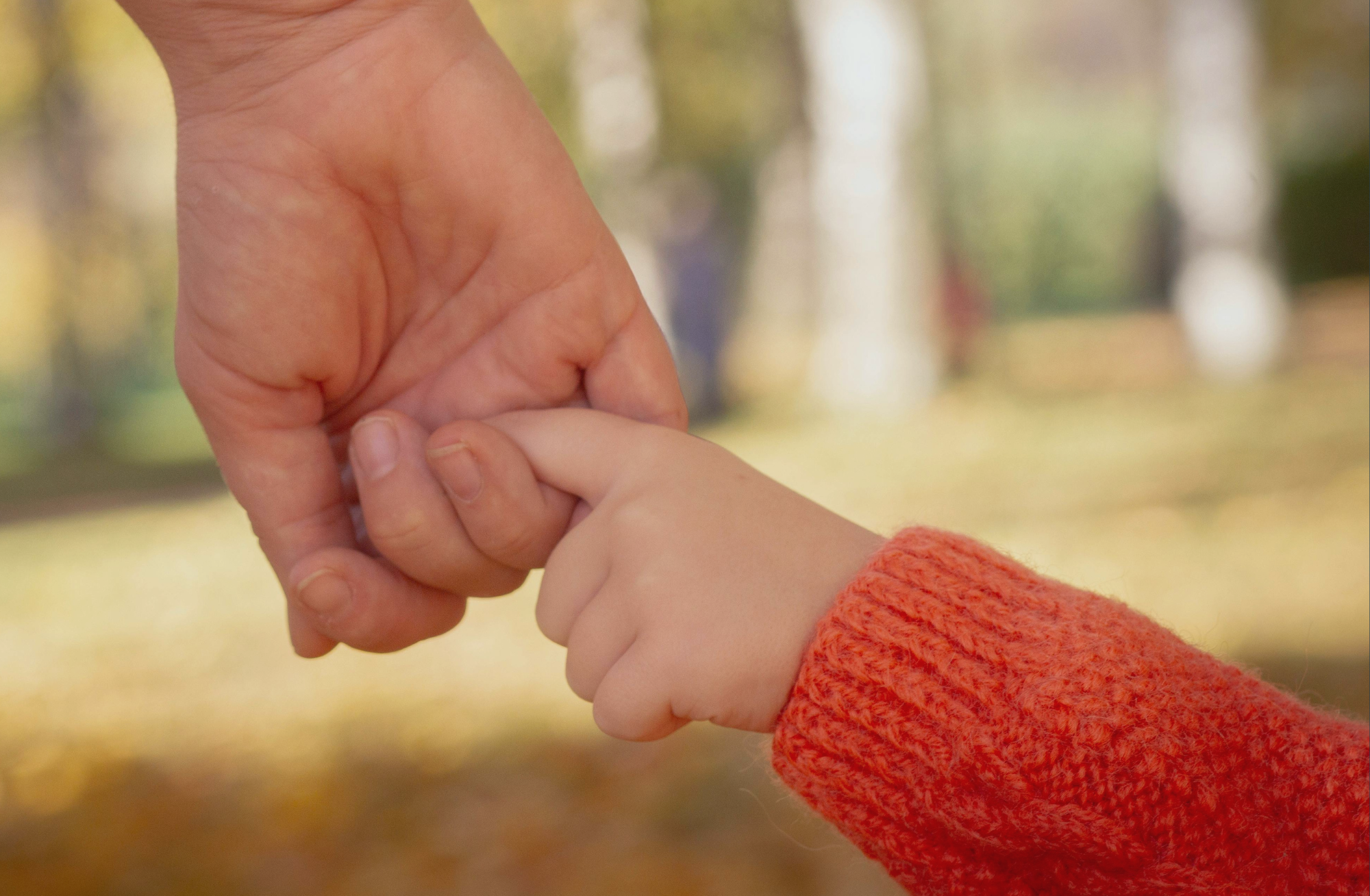 Cultivating Connection with Your Child: An Attachment Lens