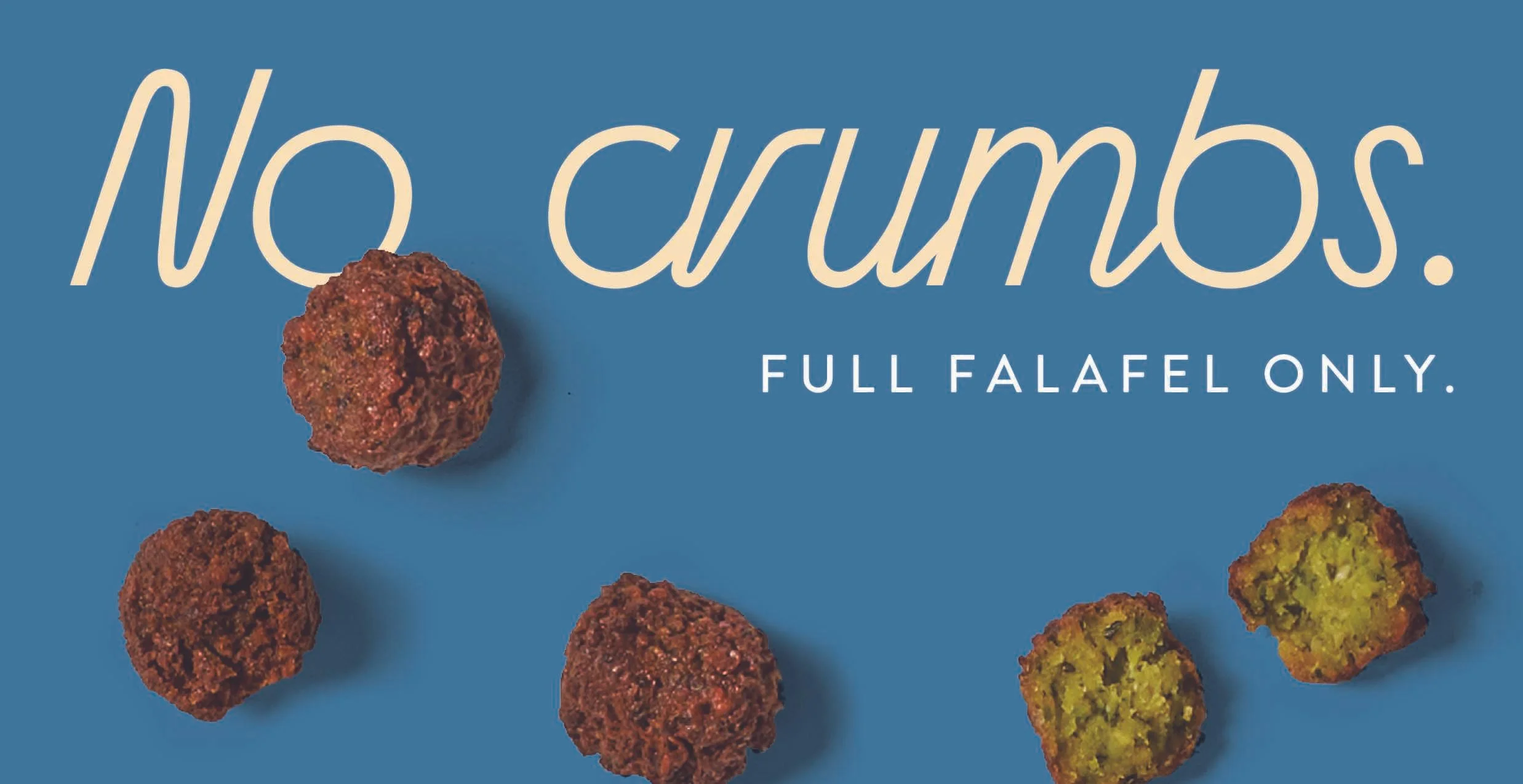 Picnic2024_SaladLineCling_Falafel.jpg