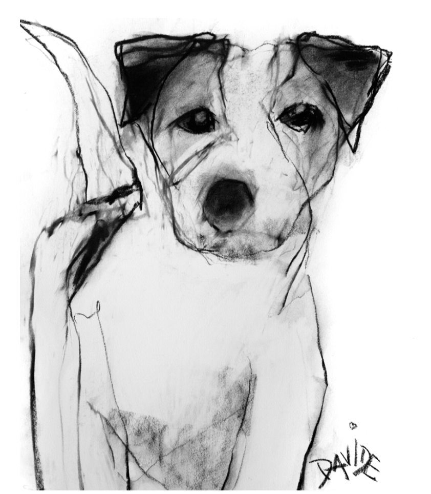 Screen Shot 2025-04-30 at 3.54.58 PM.png