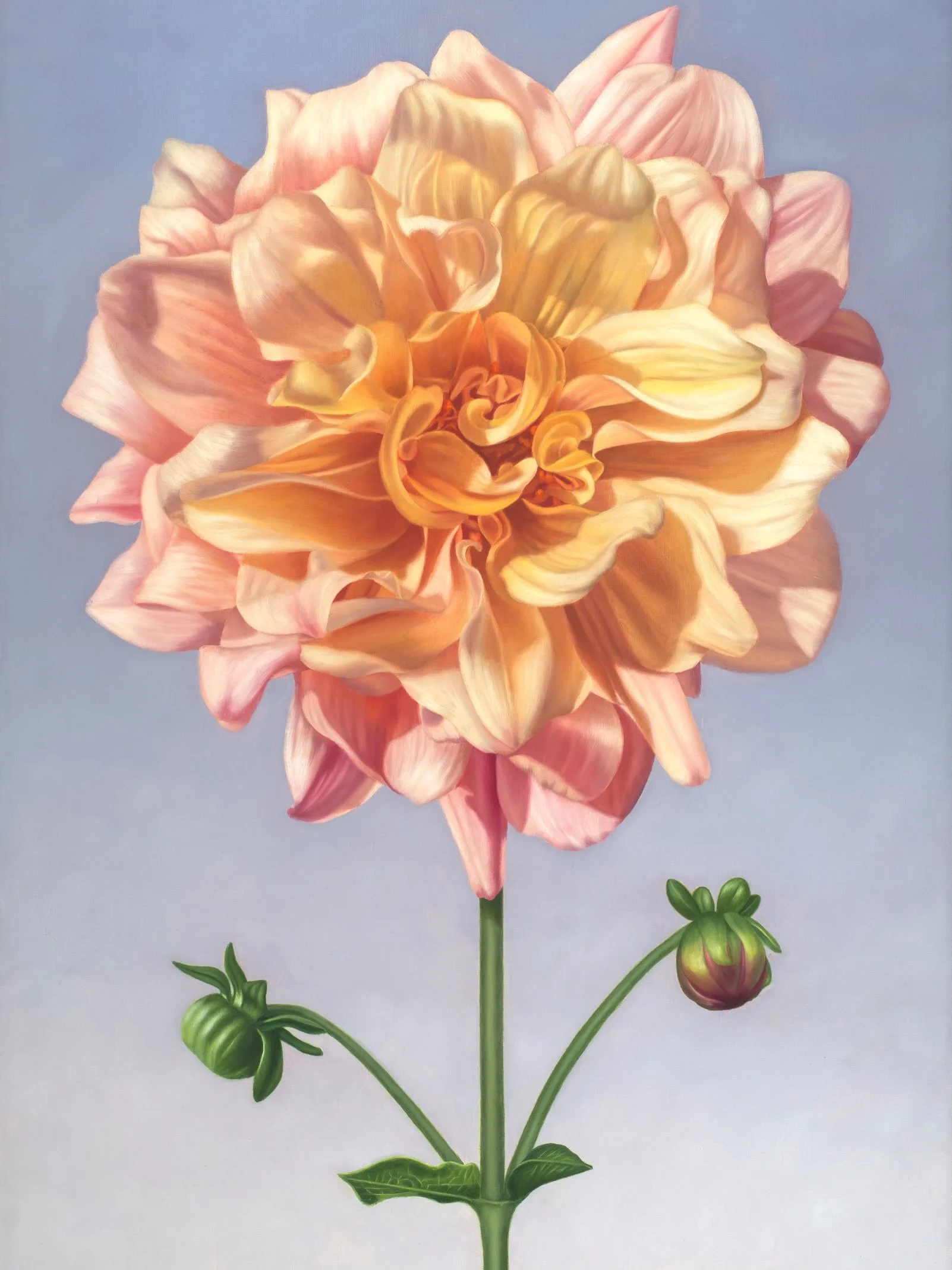 Dahlias have presence.  They are not soft like roses, or as brazen as sunflowers.  Dahlias say &ldquo;Stop for a moment and look at my beauty.  Be present in this very moment now.&rdquo; These are a few of the dahlias who stopped me with their beauty