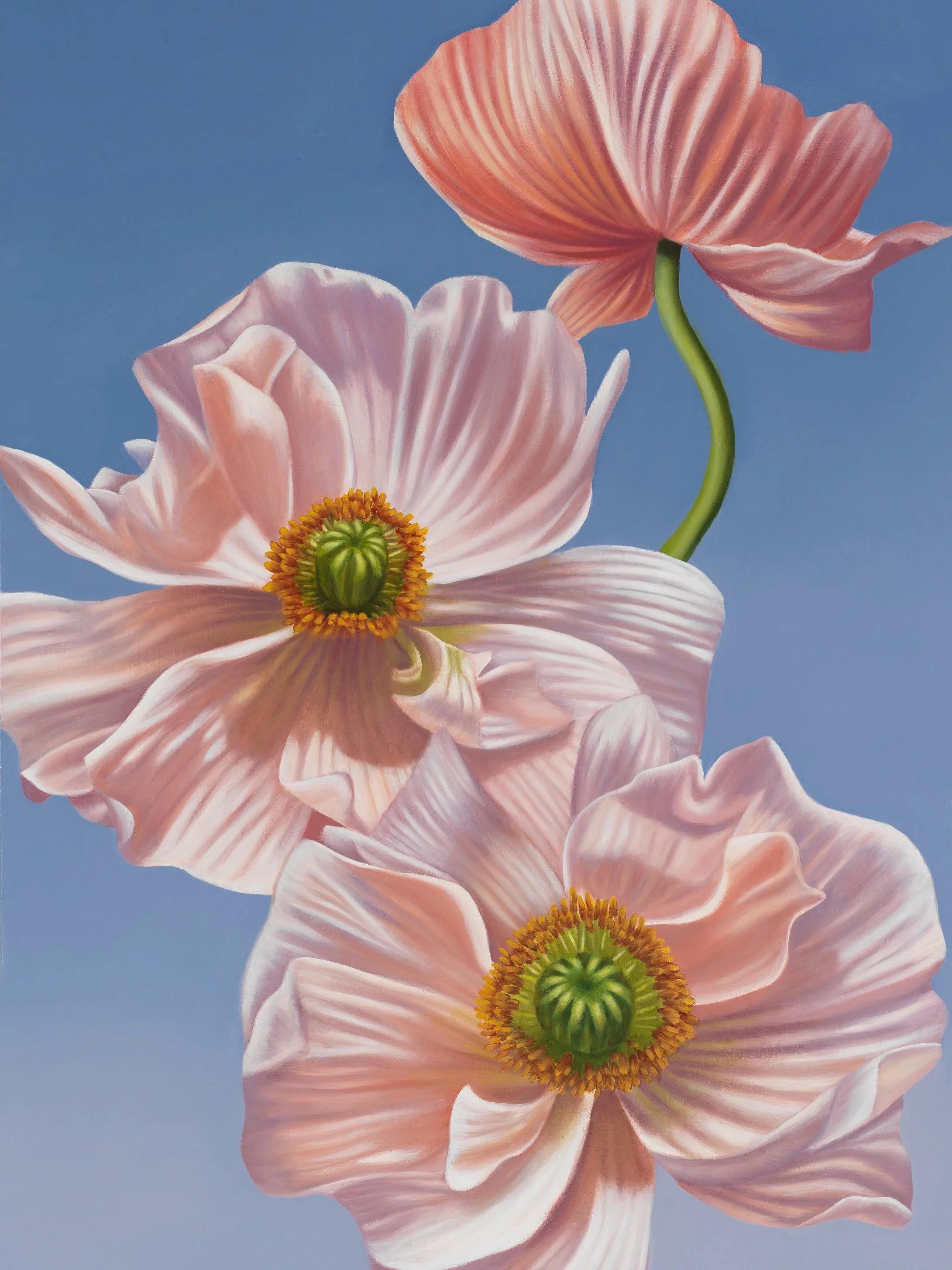 This is &ldquo;Harken.&rdquo; When we harken to something, we pay close attention to it.  These poppies dance in the wind, flaunting their beauty and grace.  They are a call for us to pause in our busyness and awaken to the wonders of our lives and w