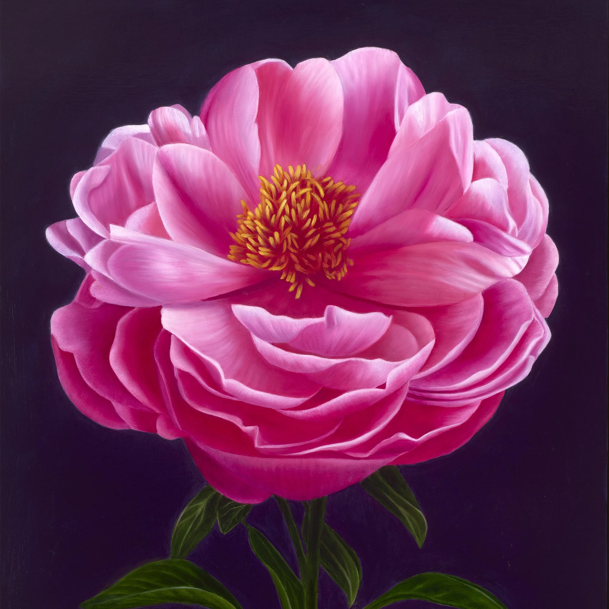 Abundance, Oil on Linen, 24 x 36 in