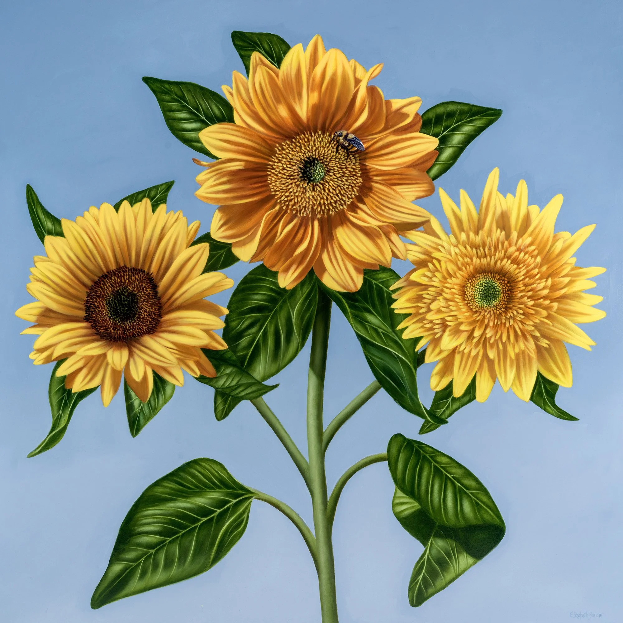 The Seeds of Love, Oil on Linen, 40 x 40 in / 102 x 102 cm (sold)