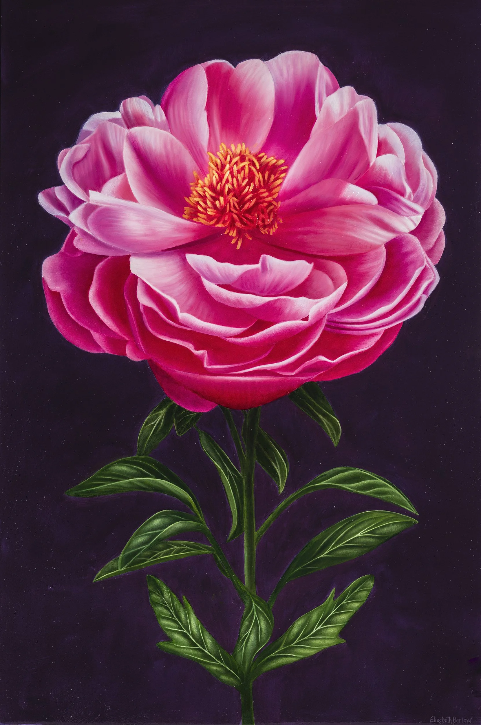 Abundance, Oil on Linen, 24 x 36 in