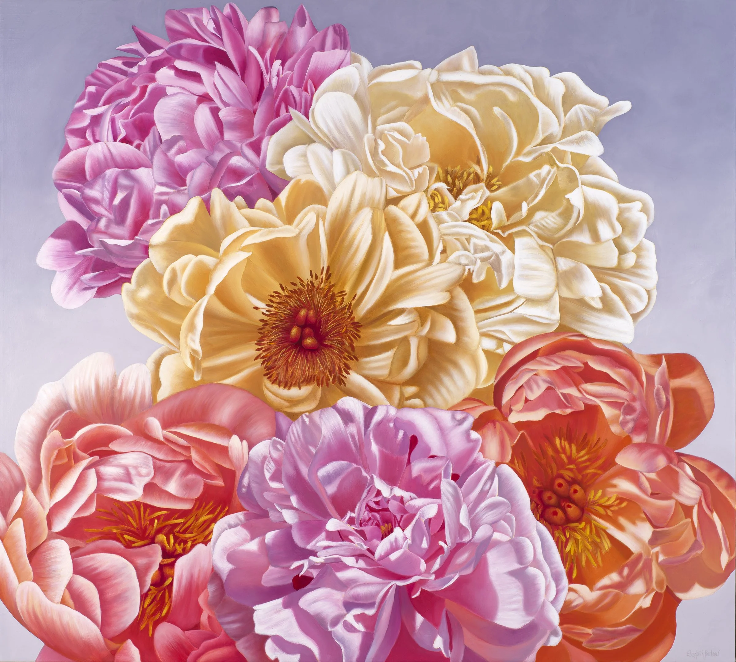 Gladden II, Oil on Linen, 36 x 40 in / 91 x 102 cm (sold)