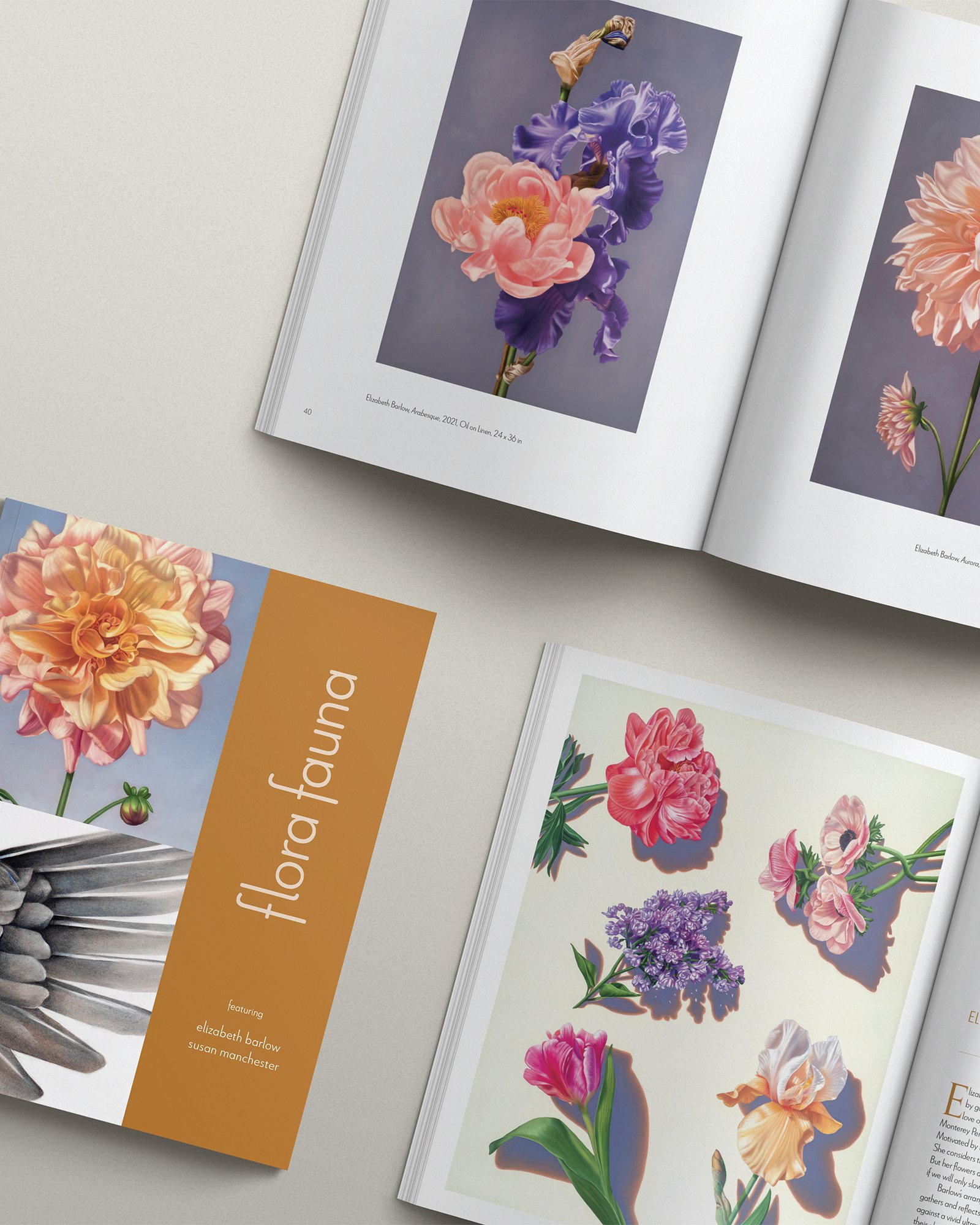 barlow_catalog_mockup(FF).jpg