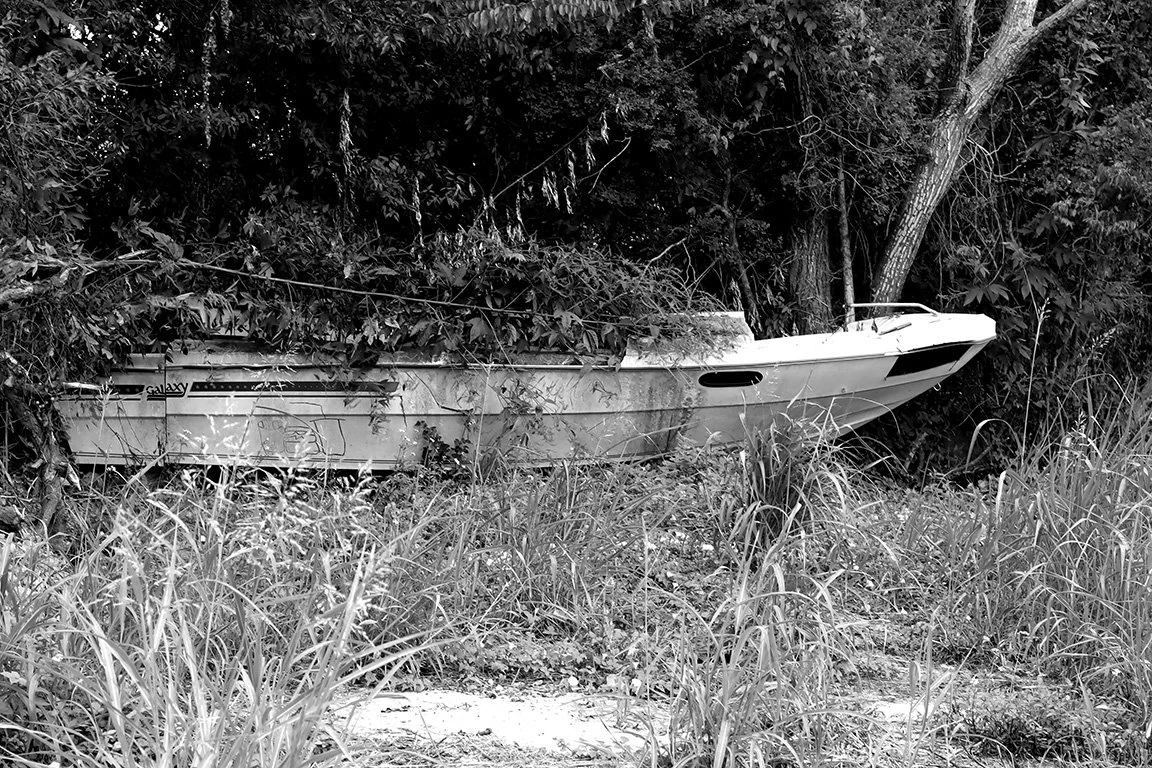 BoatWoods 2.jpg