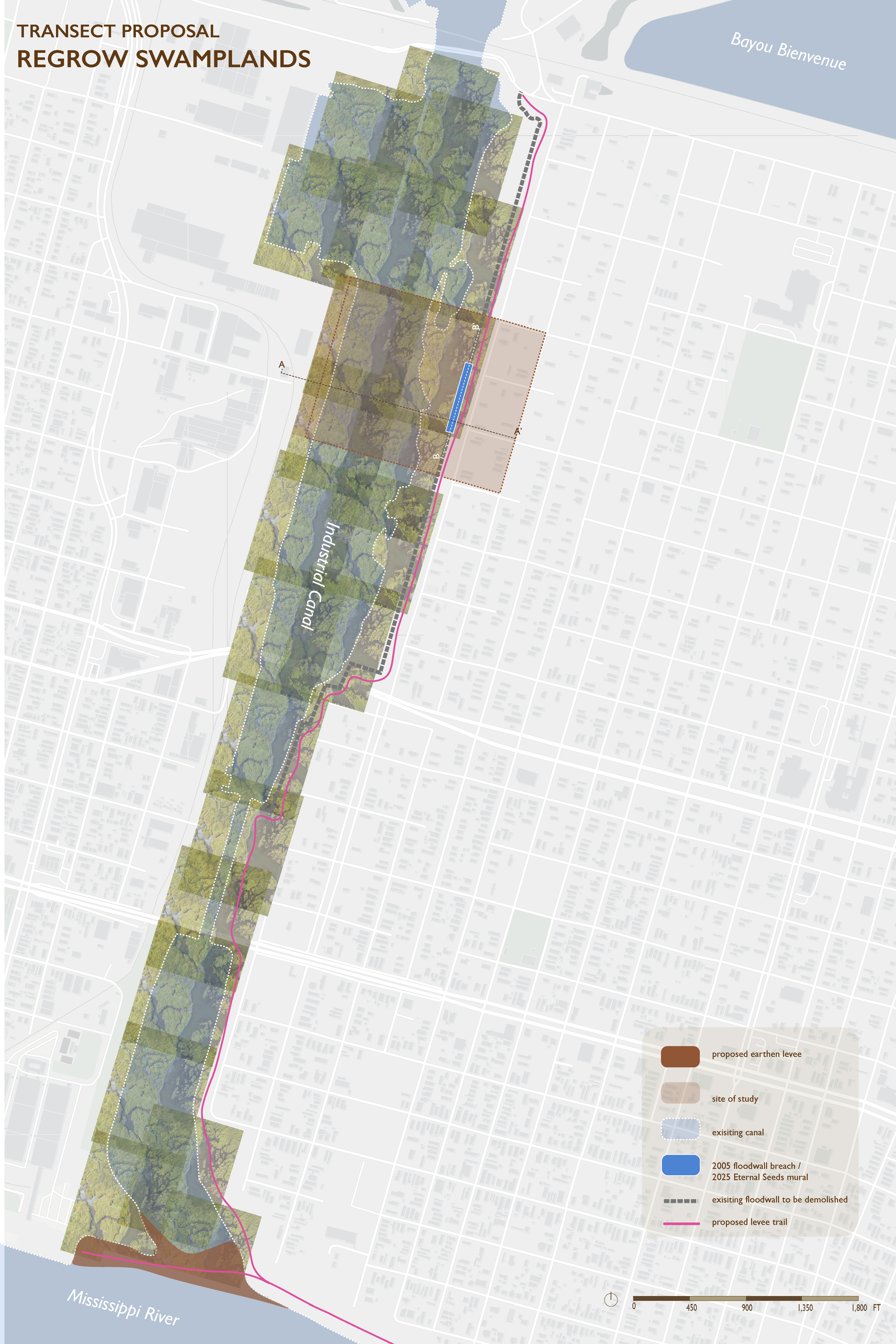 Transect Proposal: Regrow Swamplands