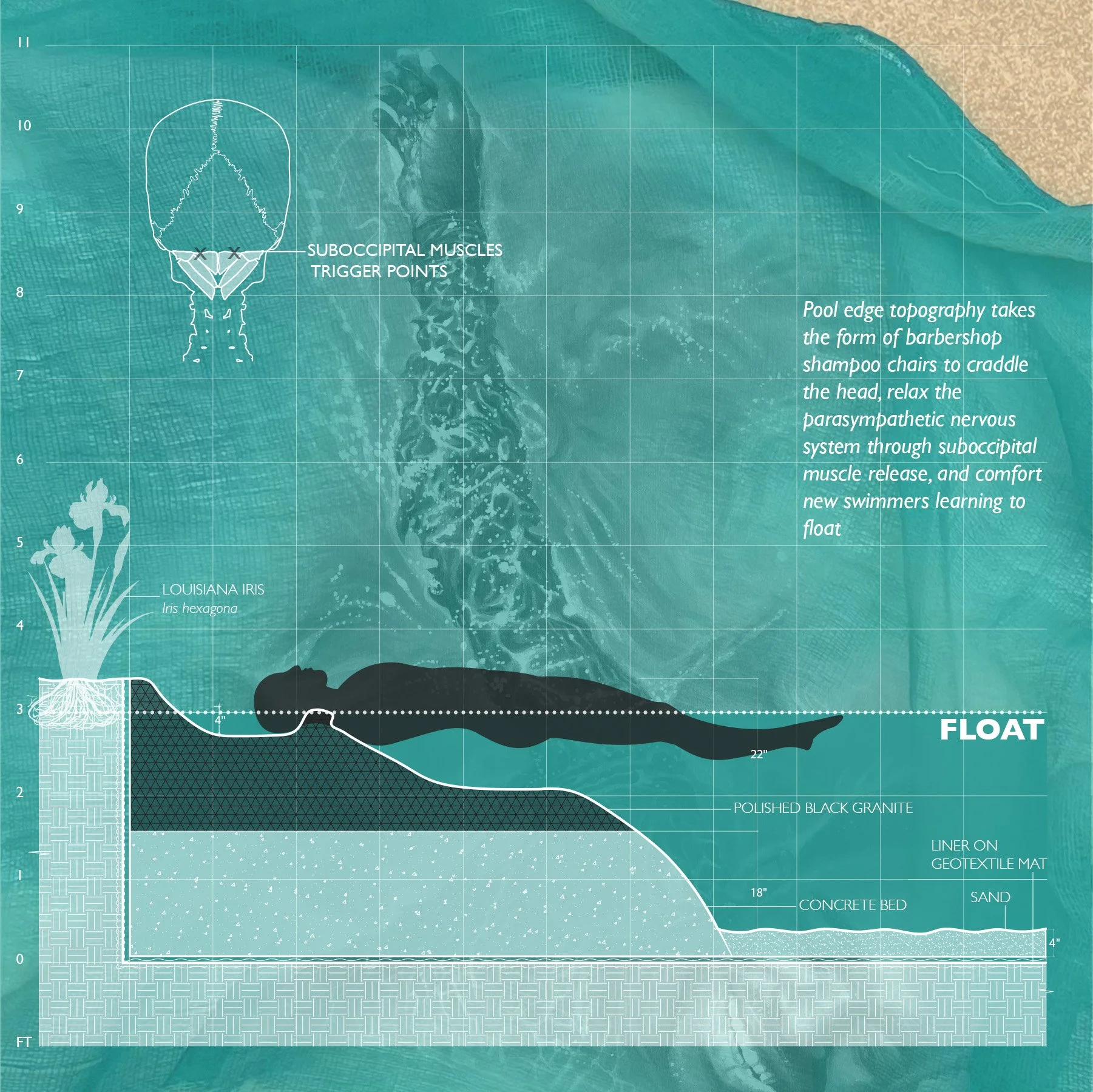 “Float” section vignette, collage includes painting by Calida Rawles