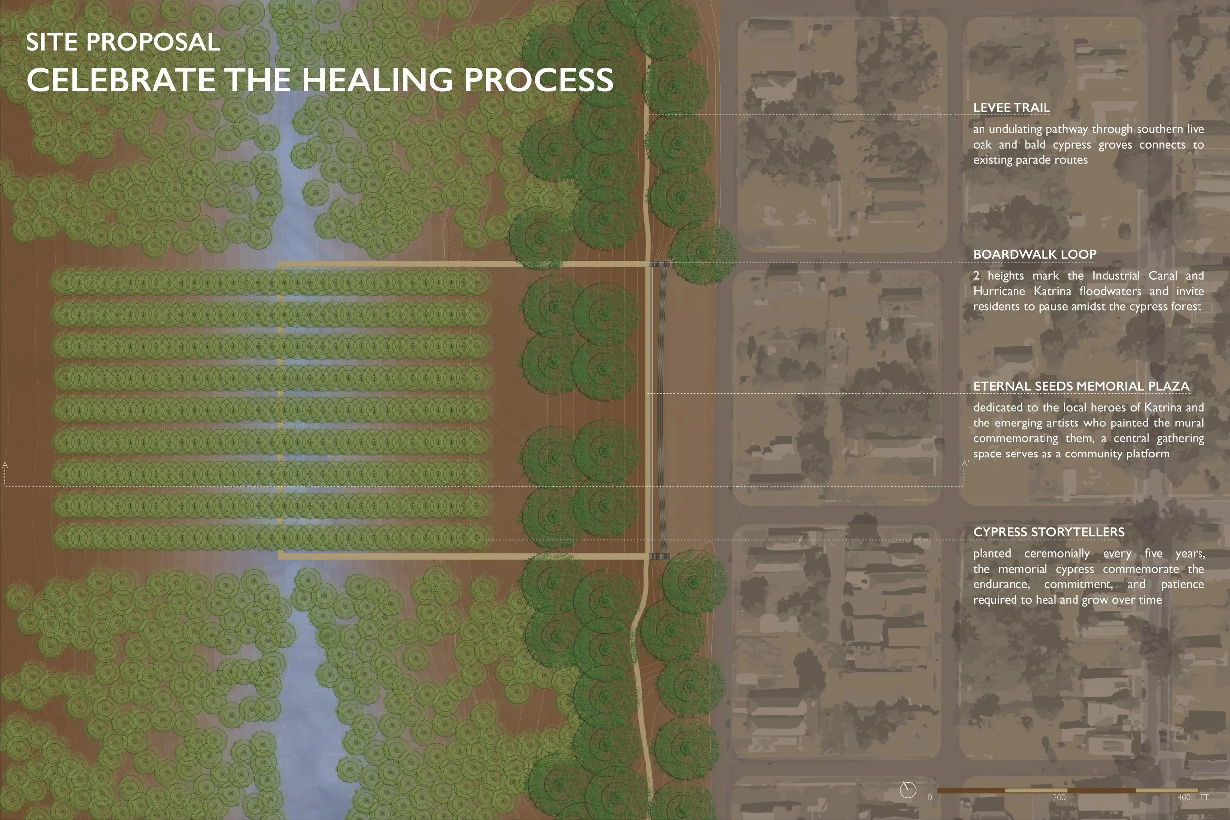 Site Proposal: Celebrate the Healing Process