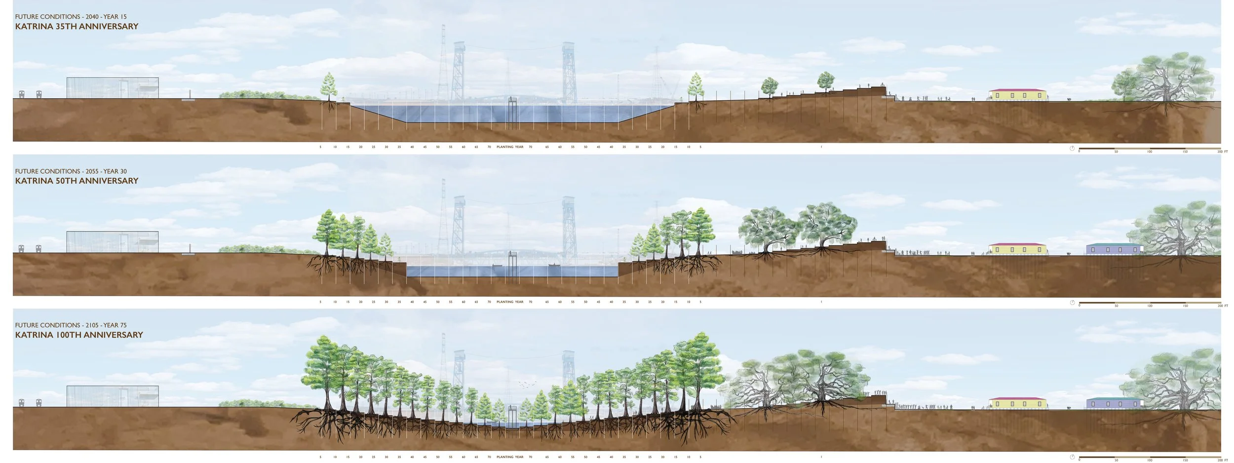 Future of the Industrial Canal: An Evolving Memorial Cypress Forest