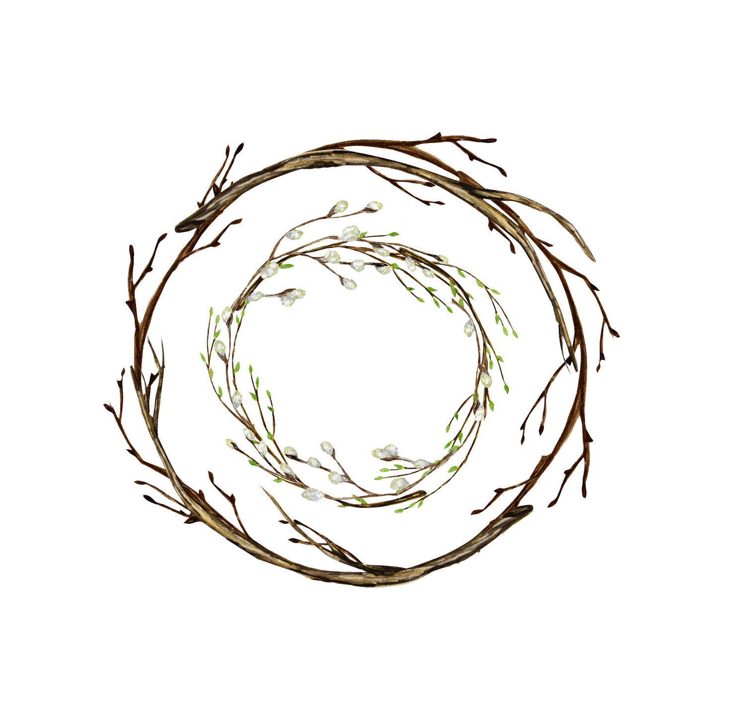 Circles of Willow