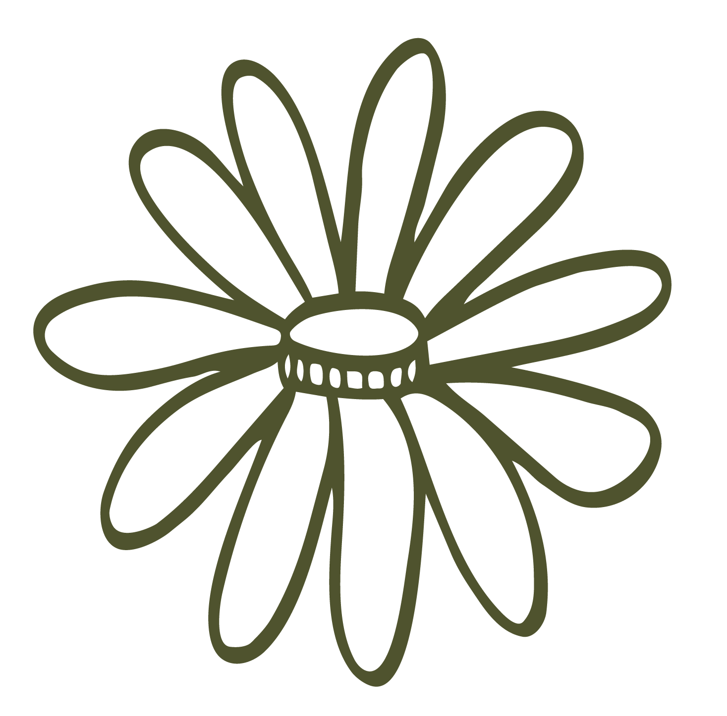 Outline drawing of a daisy flower with a central circle and multiple elongated petals on a black background.