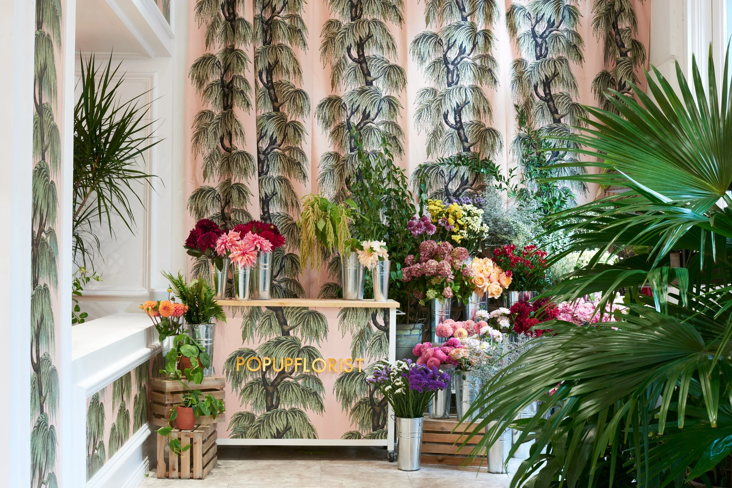 Shop Bop Pop-Up - NYC