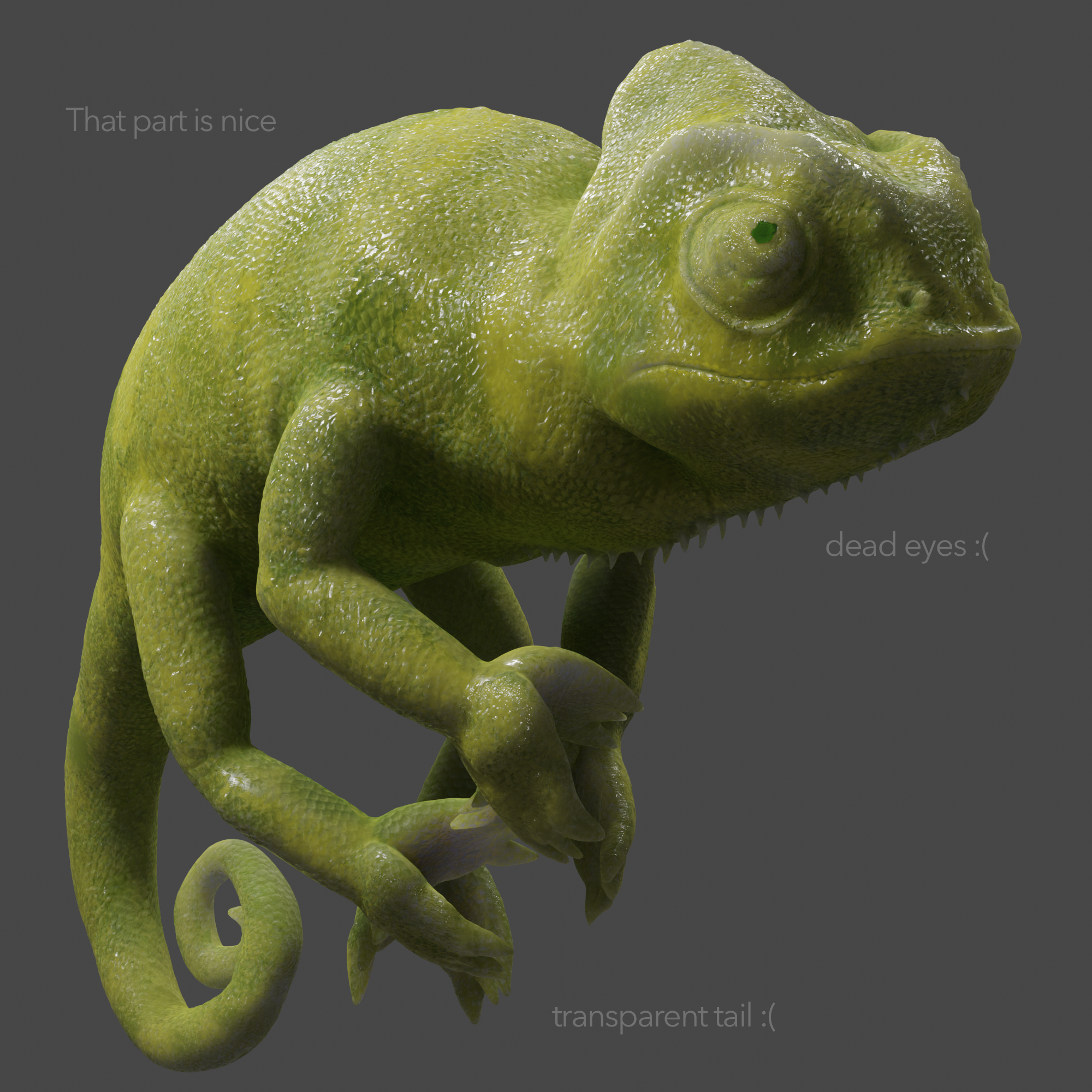 render.png