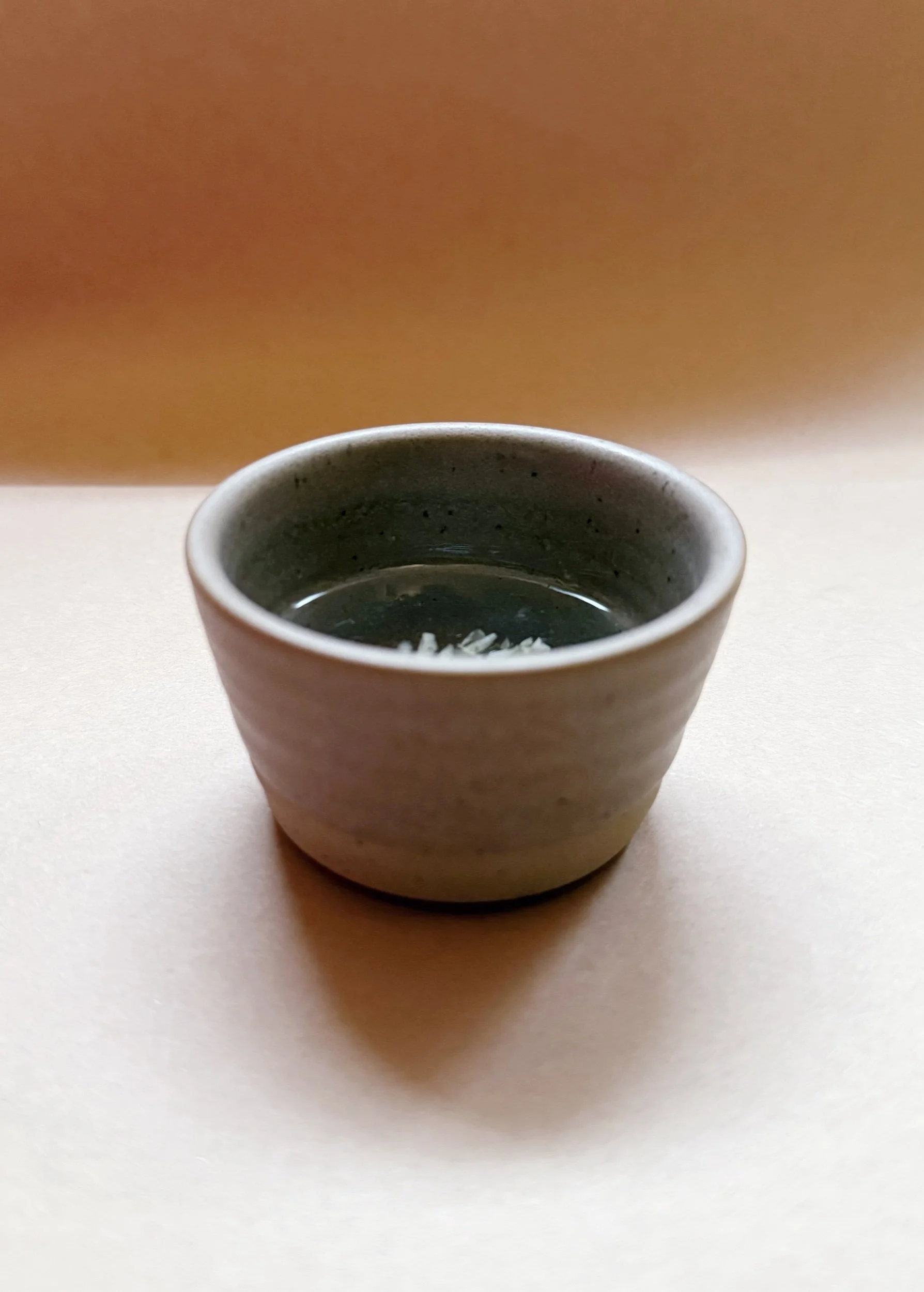 Ceramic Resin Ring Dish