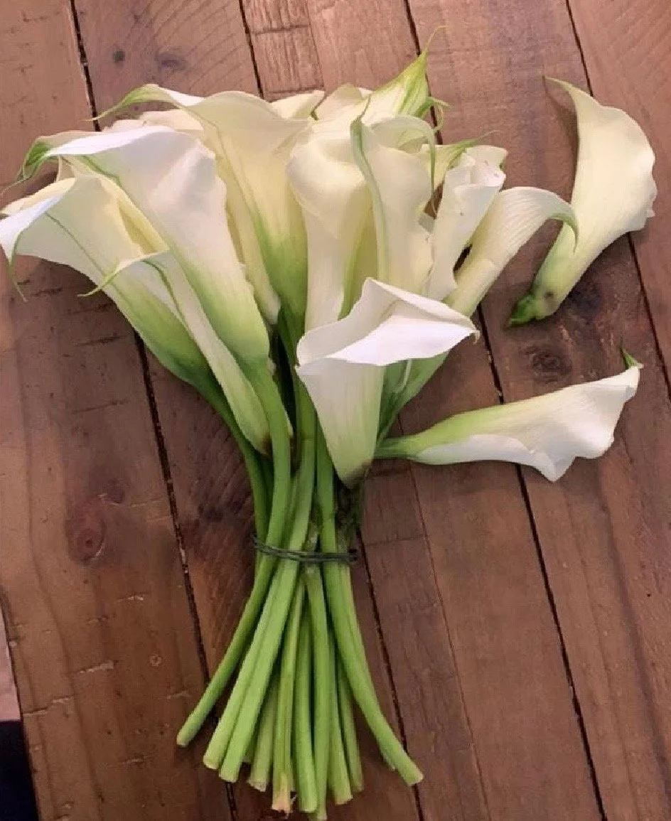 Bouquet preservation atlanta, bouquet preservation Georgia, bouquet preservation marietta, bouquet preservation roswell, flower preservation roswell, flower preservation atlanta, how to preserve wedding flowers, framed wedding flowers