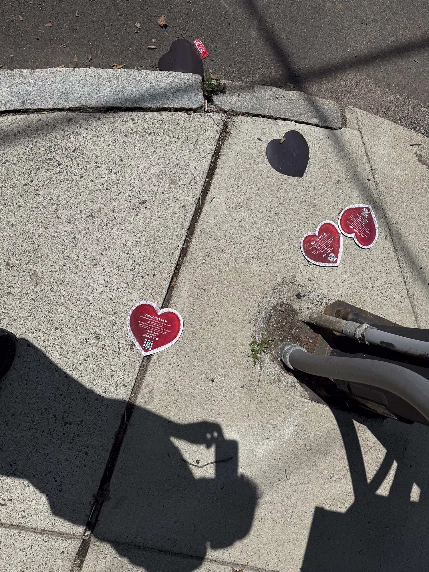 CollectionWhere_08.14.2026-31.jpg
