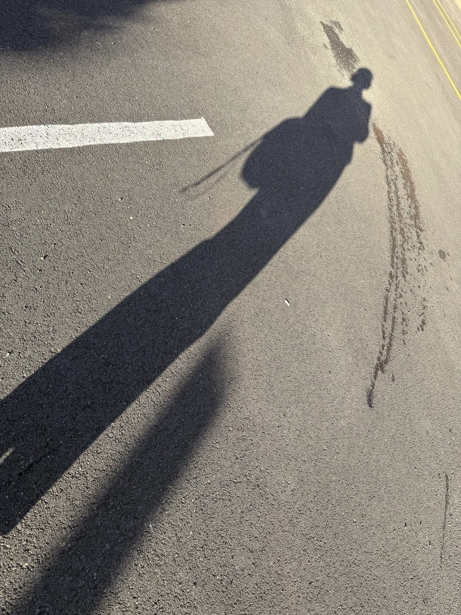 CollectionWhere_08.14.2026-1.jpg