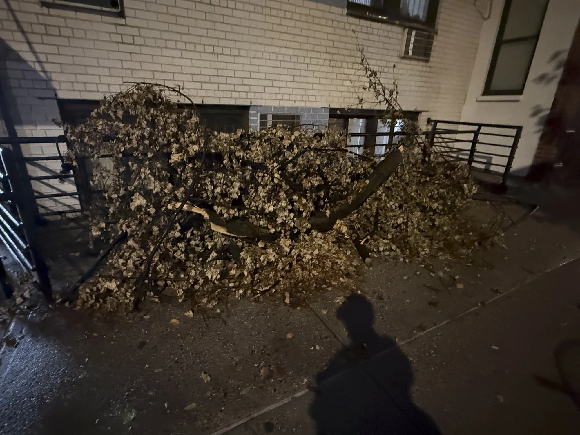 CollectionWhere_08.14.2026-23.jpg
