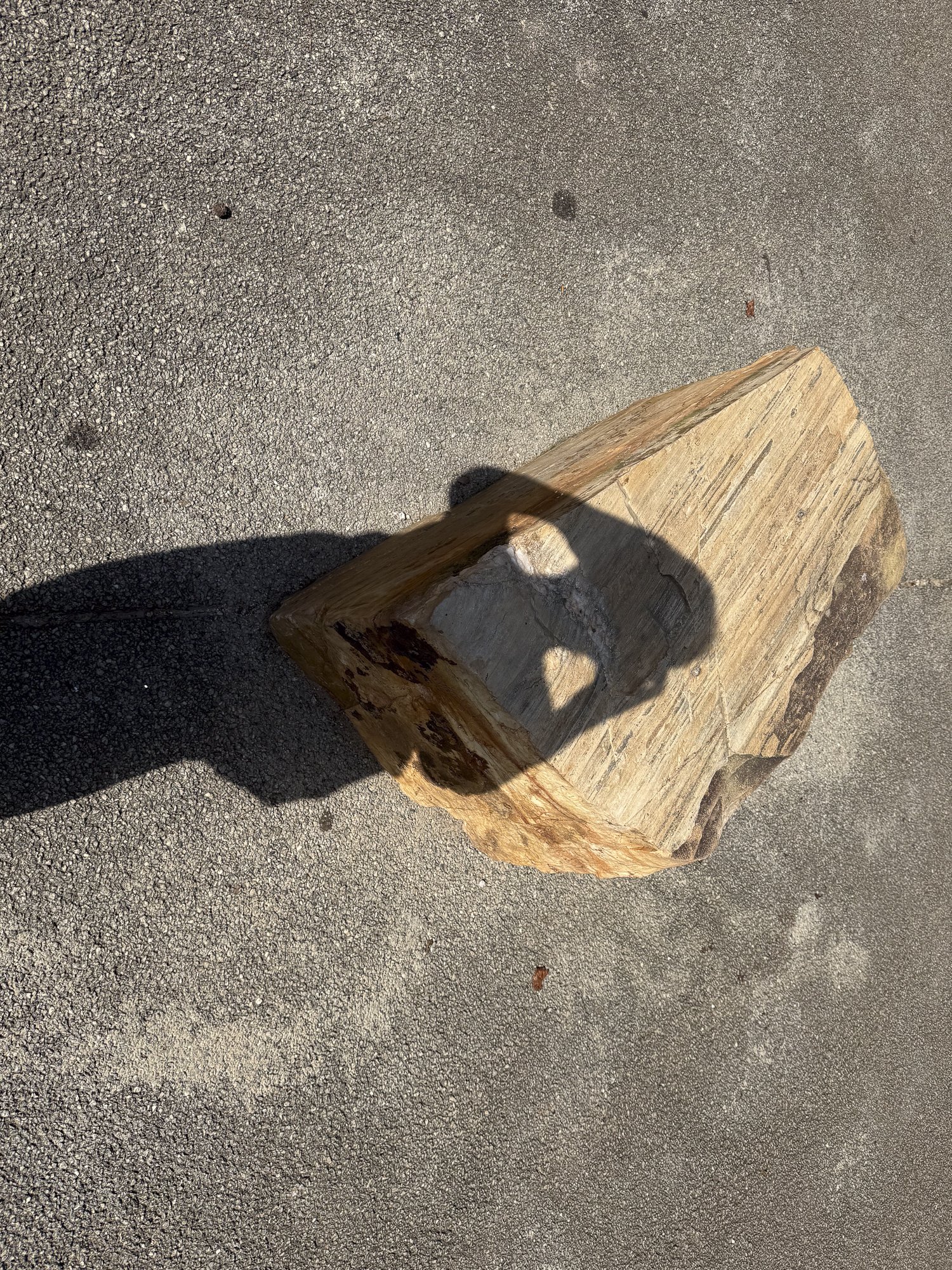CollectionWhere_08.14.2026-30.jpg