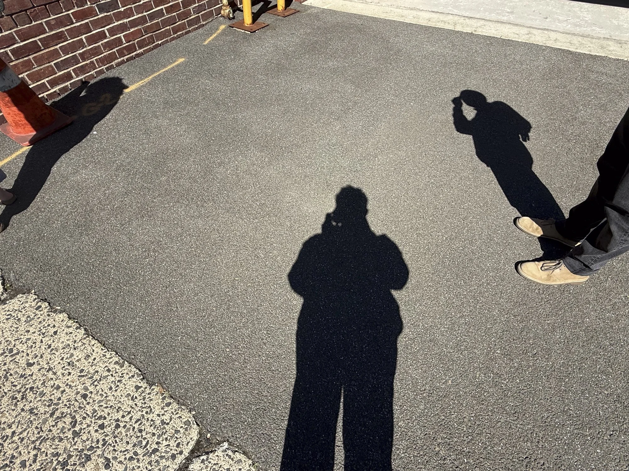 CollectionWhere_08.14.2026-3.jpg
