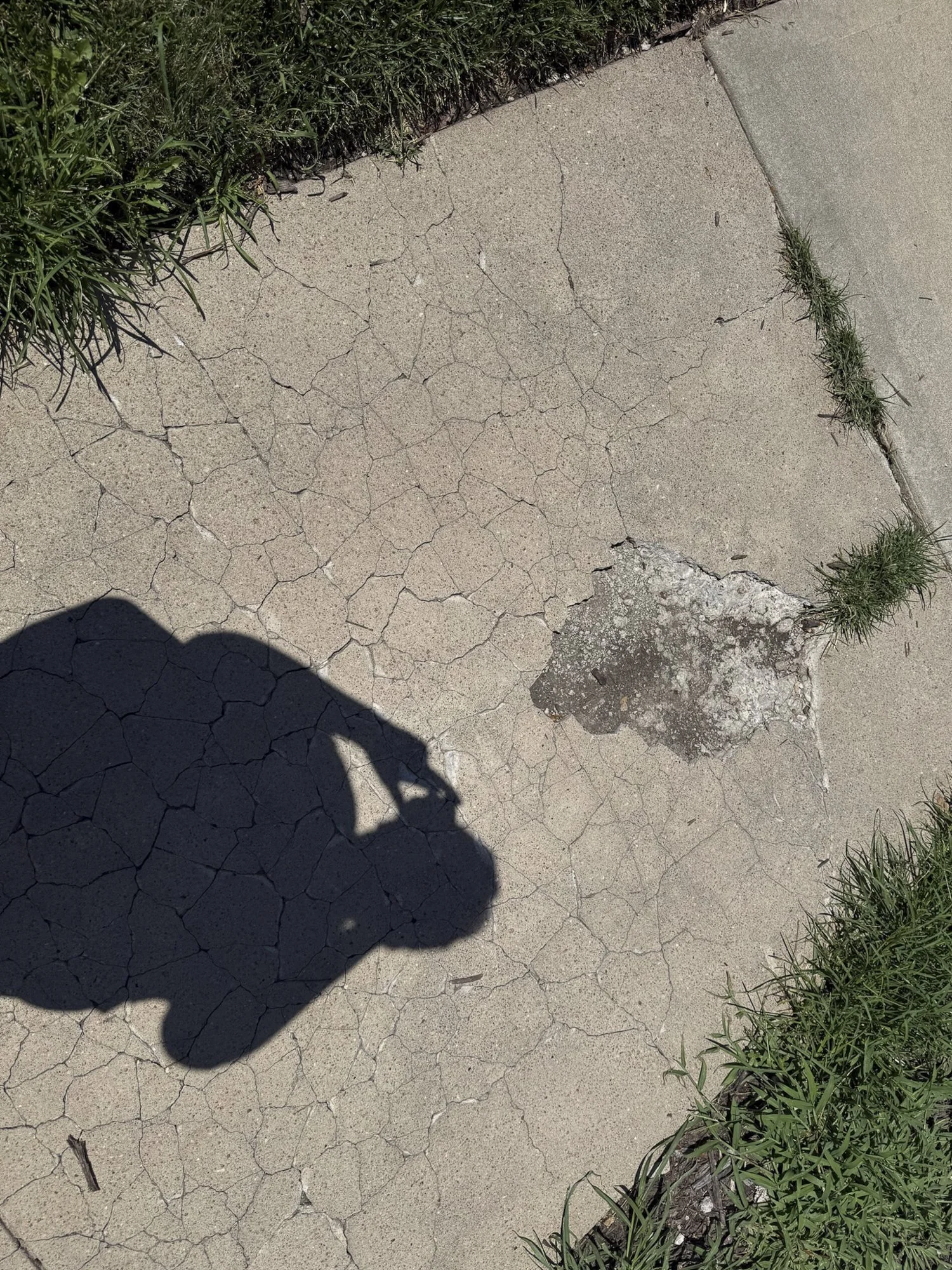 CollectionWhere_08.14.2026-24.jpg