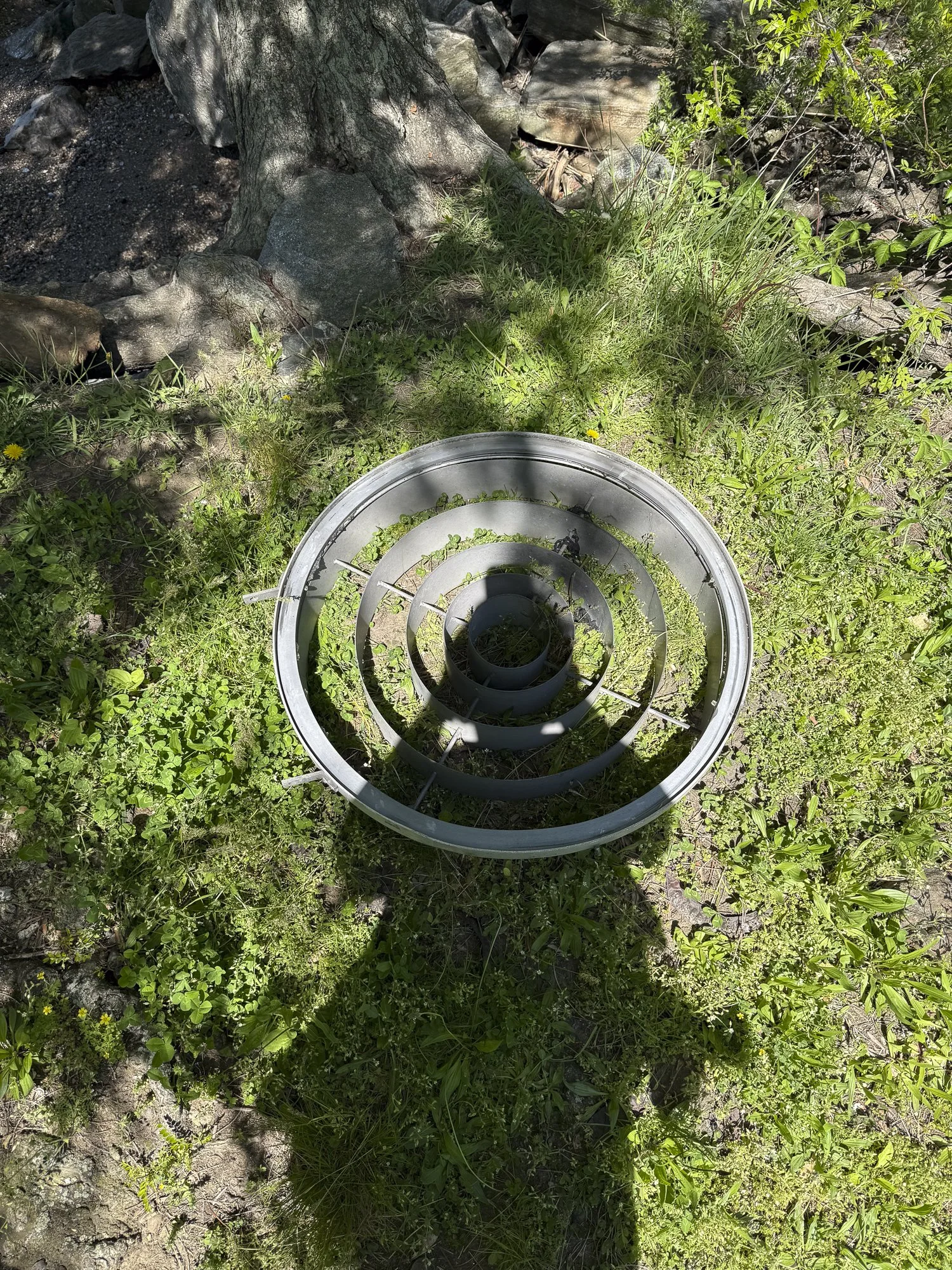 CollectionWhere_08.14.2026-4.jpg