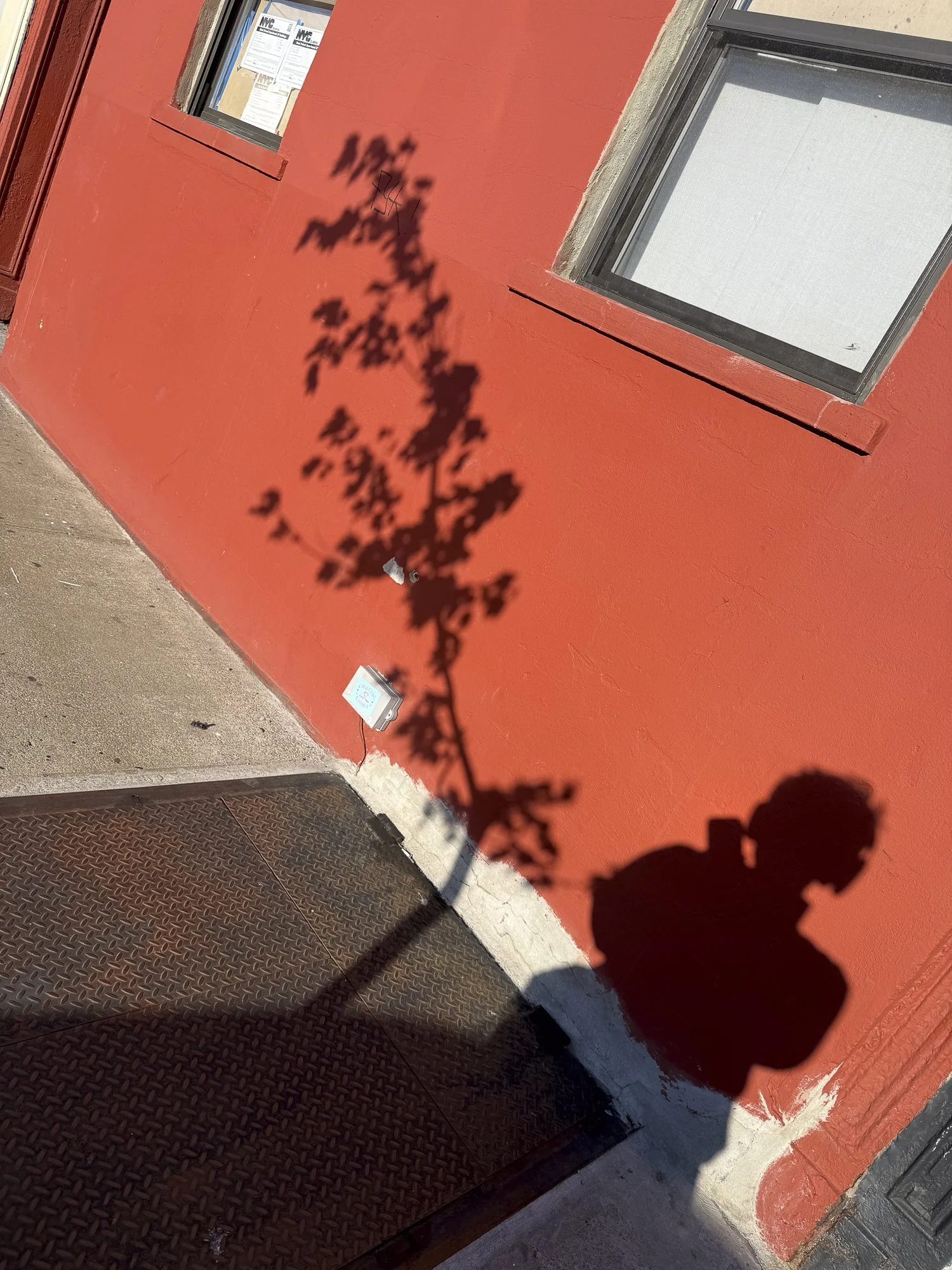 CollectionWhere_08.14.2026-13.jpg
