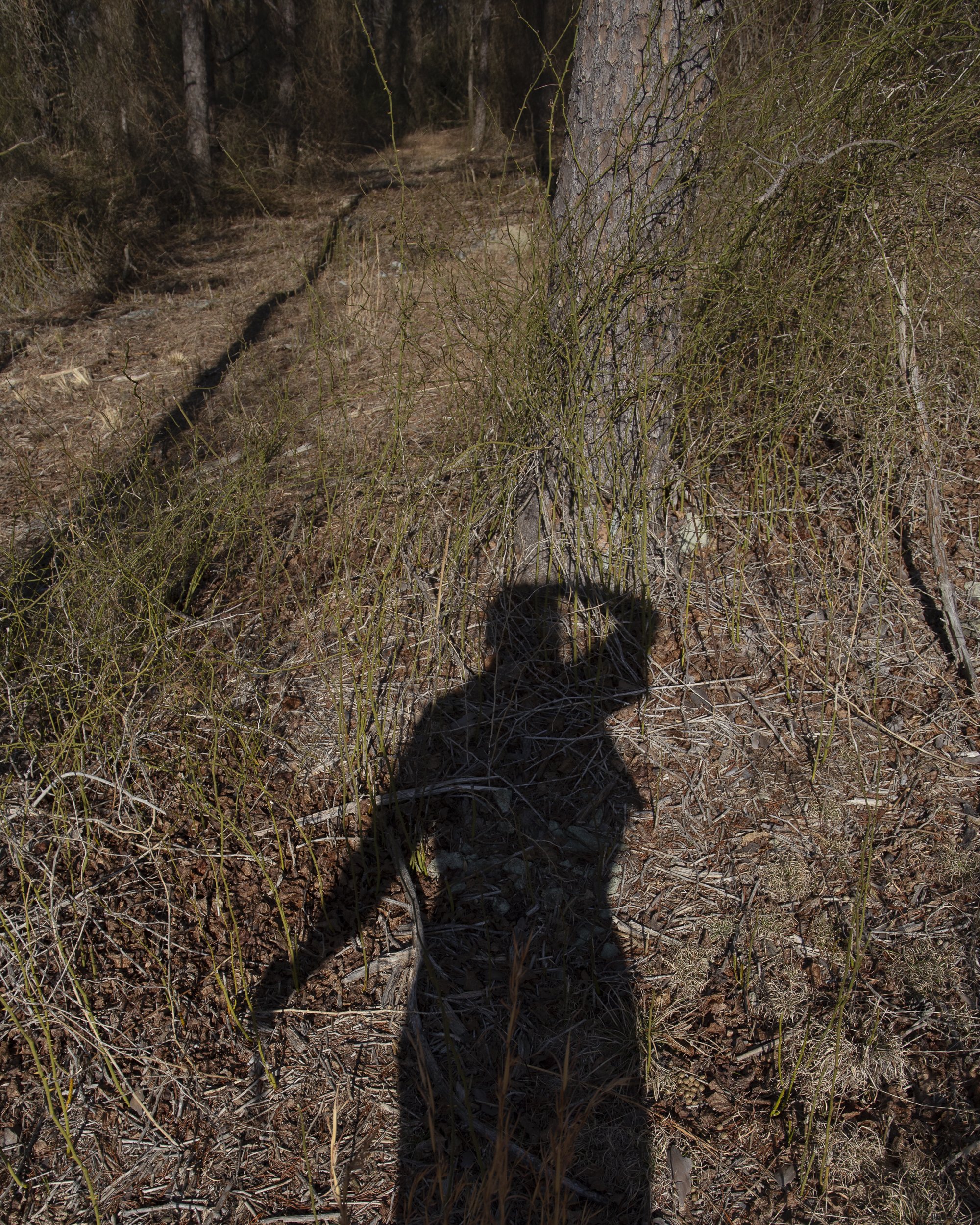 Self Portrait in Field of Thorns