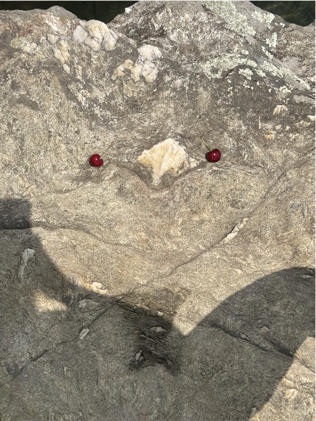 the collection where I see for myself