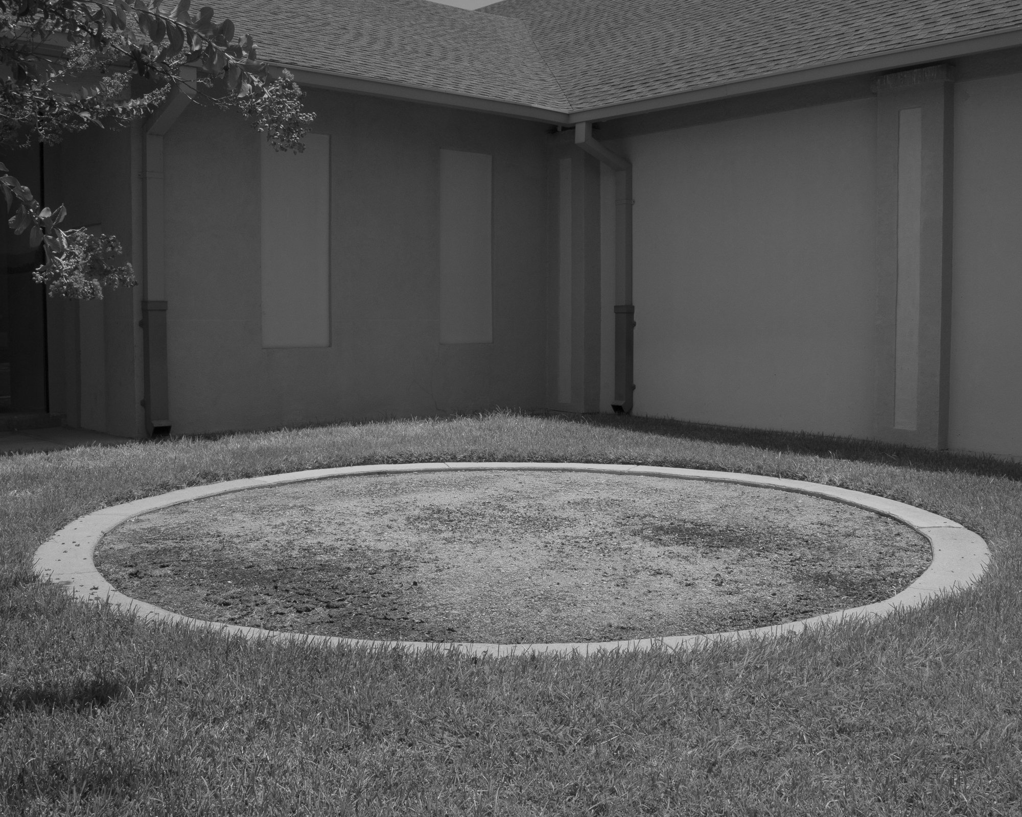 "Pink Tree, Missing Monument", Belton, TX
