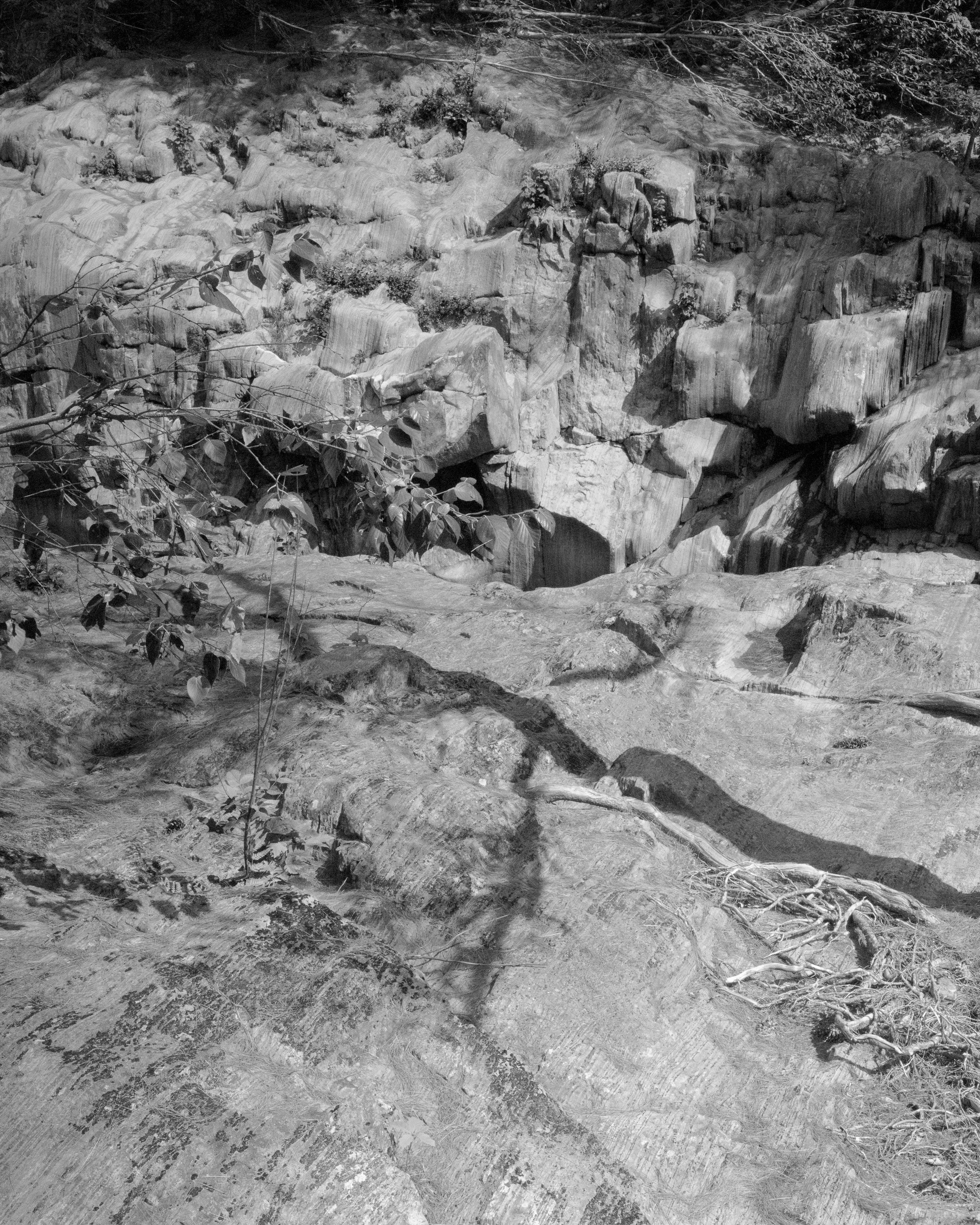 Some Kind of Landscape