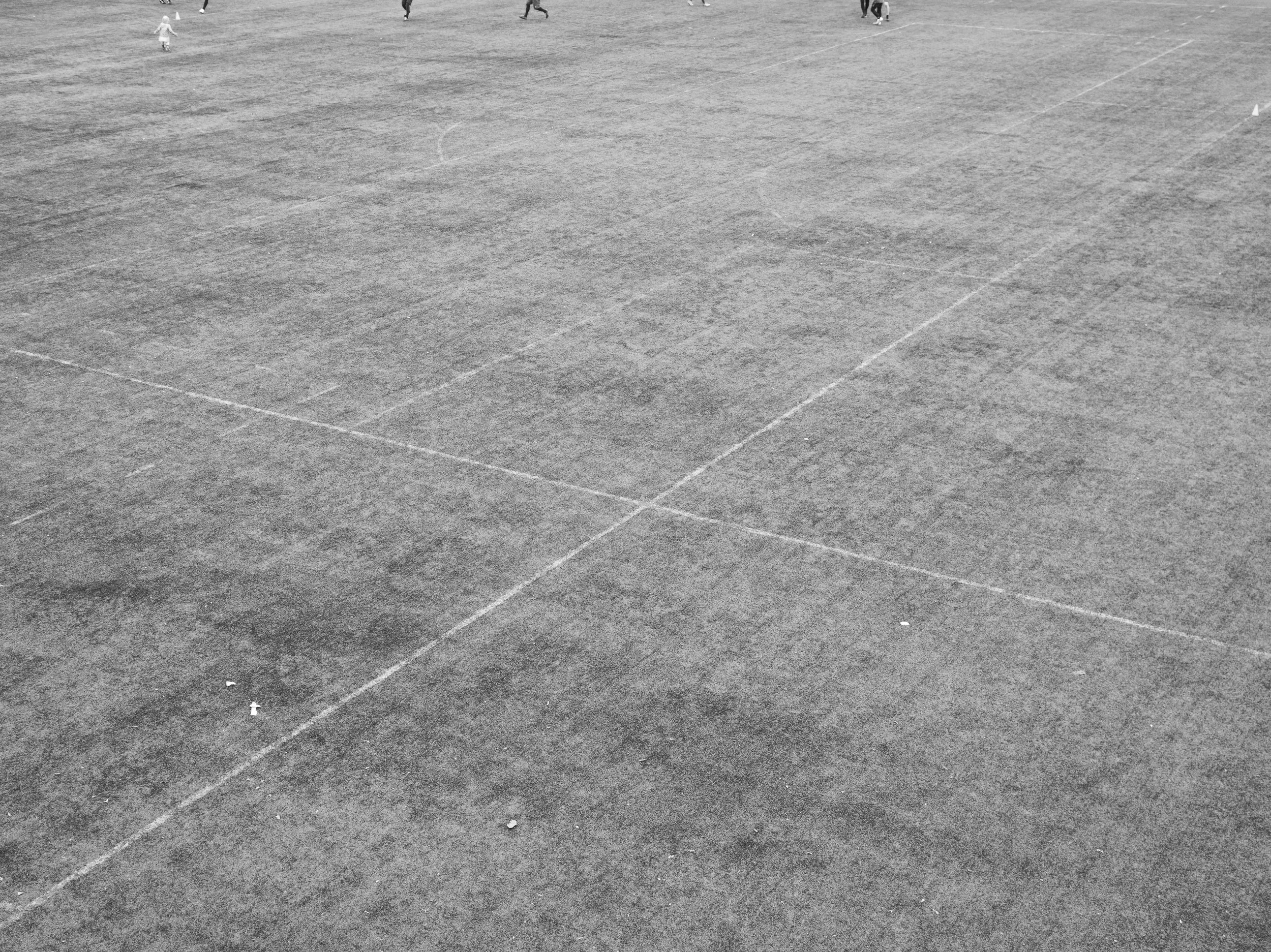  Field of View, 2026
