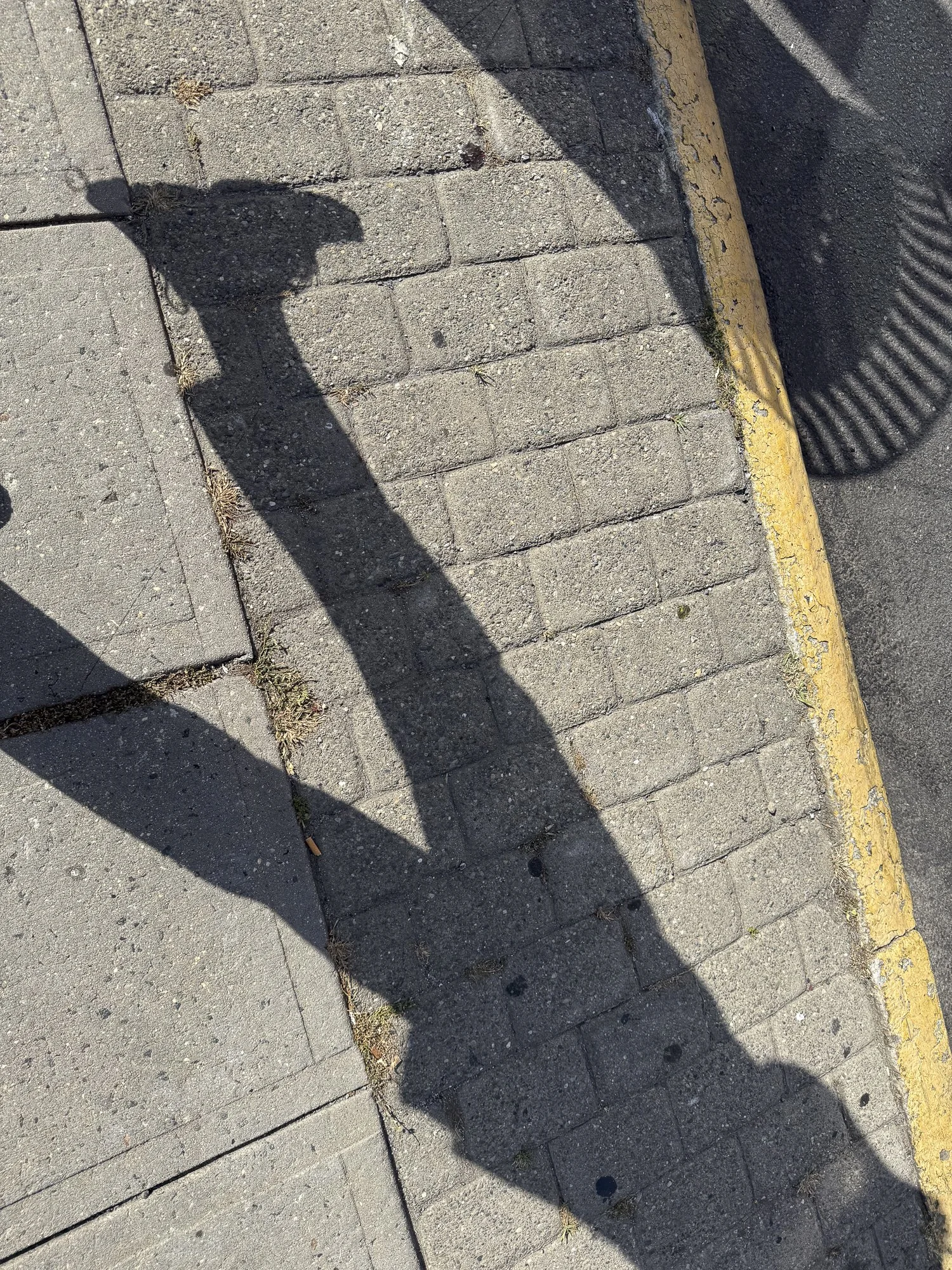 CollectionWhere_08.14.2026-22.jpg