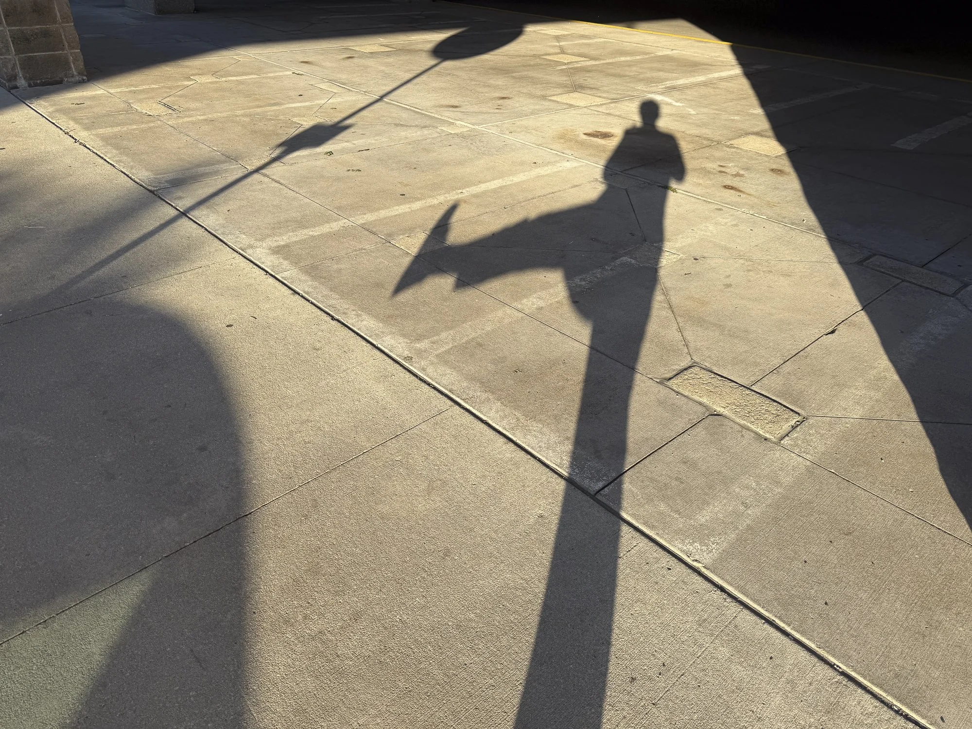 CollectionWhere_08.14.2026-29.jpg