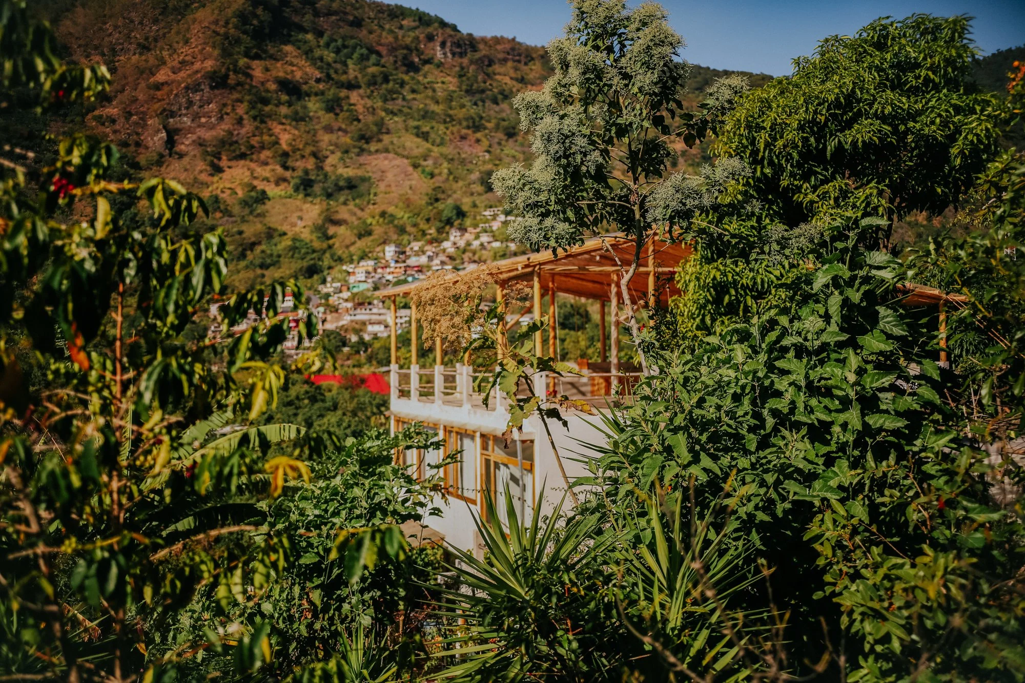 Eco Hotel Tzununa Lake Atitlan For Sale — The Seed Habitat