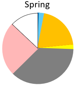 Tarakihi (orange), Barracouta (grey) and Warehous (pink) were the most important prey. Not visible in the pie chart are Anchovies (blue), Needlefishes (light blue), and  cockabullies (Triplefins –yellow), Pacific saury (dark pink) and Sweeps (bright 