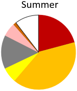 Sprat (red), Tarakihi and Morwong (darker yellow), Cockabullies (Triplefins, bright yellow), Barracouta (grey) and Bluenose and Blue warehou (pink) were recorded. Anchovies (blue but not visible in the pie chart), Morey eels (brown), Lanternfish (gre