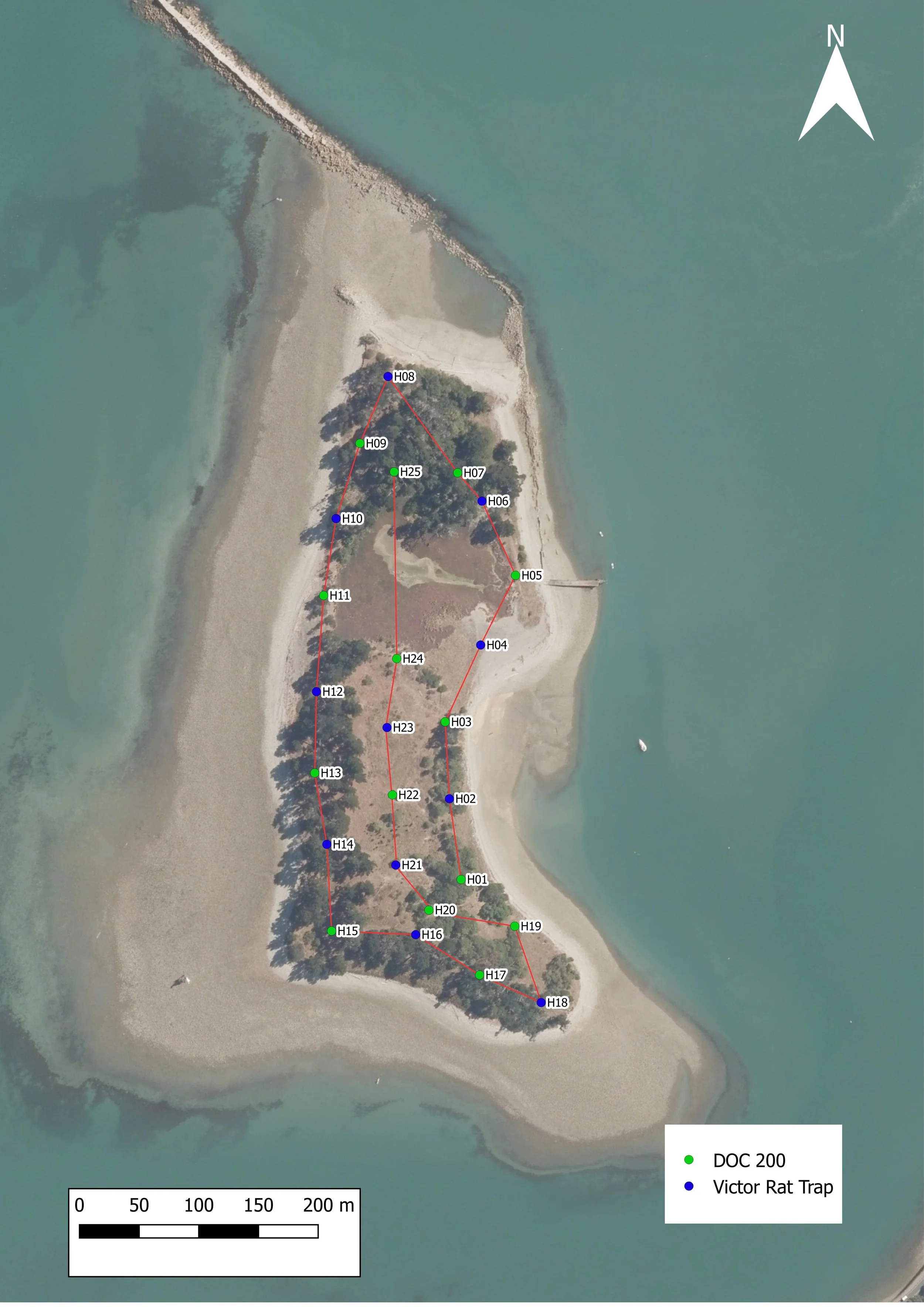 Friends of Haulashore Island trap network layout 