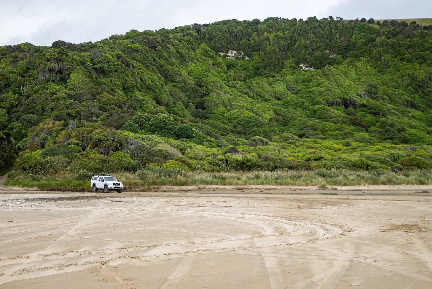Vehicles on Beaches Bylaw 2023 proposed by the Clutha District Council: our submission