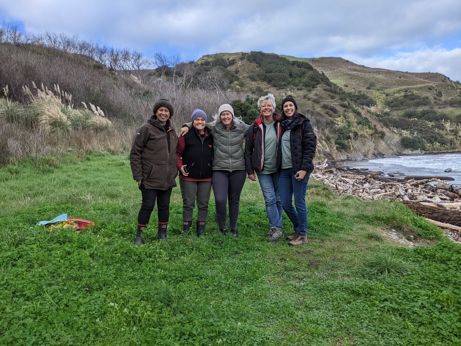 The kororā plight in Gisborne