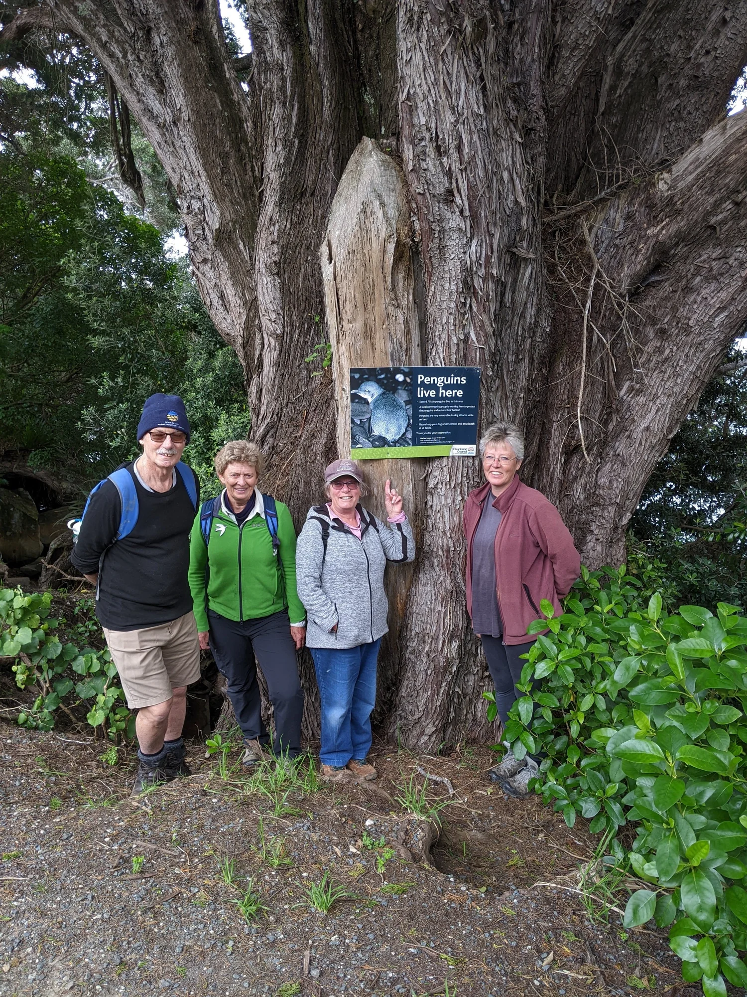 NZPI travels North to microchip kororā and train projects’ lead