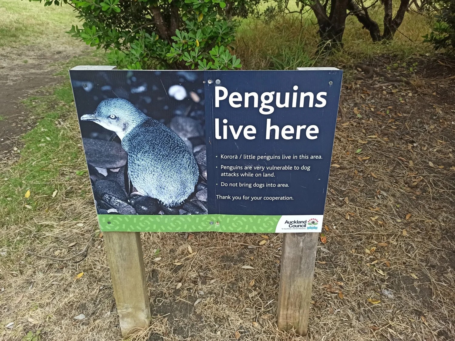 NZPI visits Auckland’s West Coast