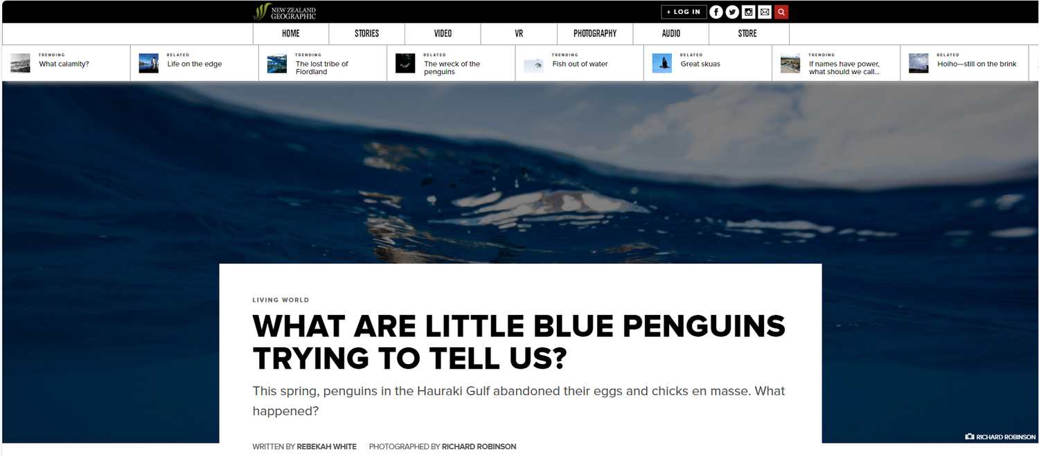 Kororā/Little Penguins- Key Environmental Indicators