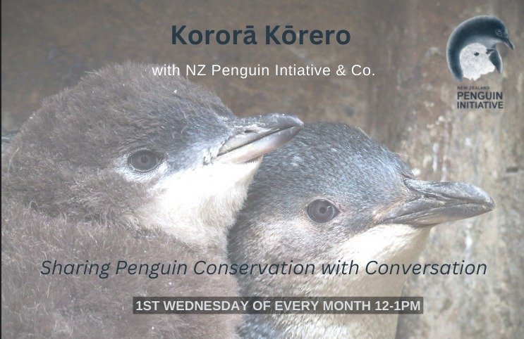 Our next online monthly meeting will be held on Wednesday 01st May- Please send us an email at admin@nzpi.nz if you would like to register, we'd love to have to have you along🐧🥰
